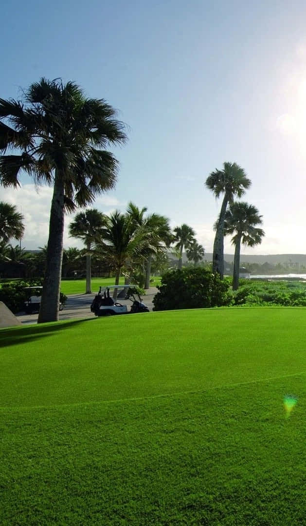 Pixel 3 Golf Course 桌布 壁紙 — 一片充滿活力的綠色高爾夫球場在明亮的藍天下緩緩傾斜，高大的棕櫚樹投下陰影。