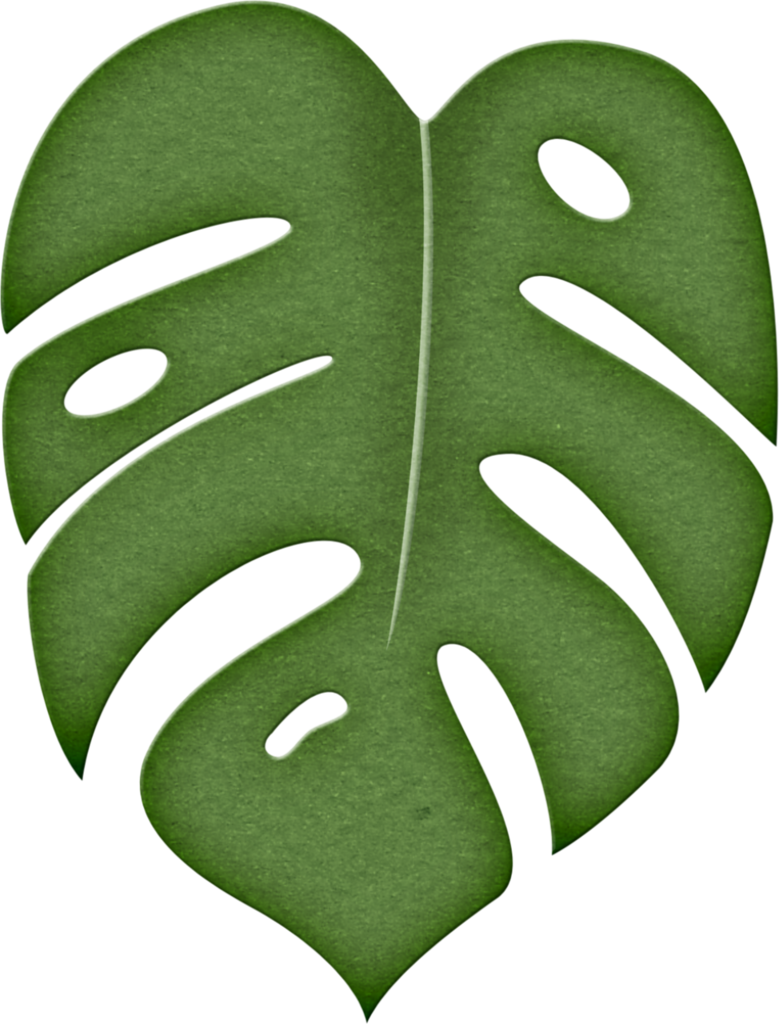 Monstera Plant 桌布 壁紙 — 一片充滿活力的綠色龜背竹葉，帶有天然的裂縫和葉脈，在純黑色背景上脫穎而出。