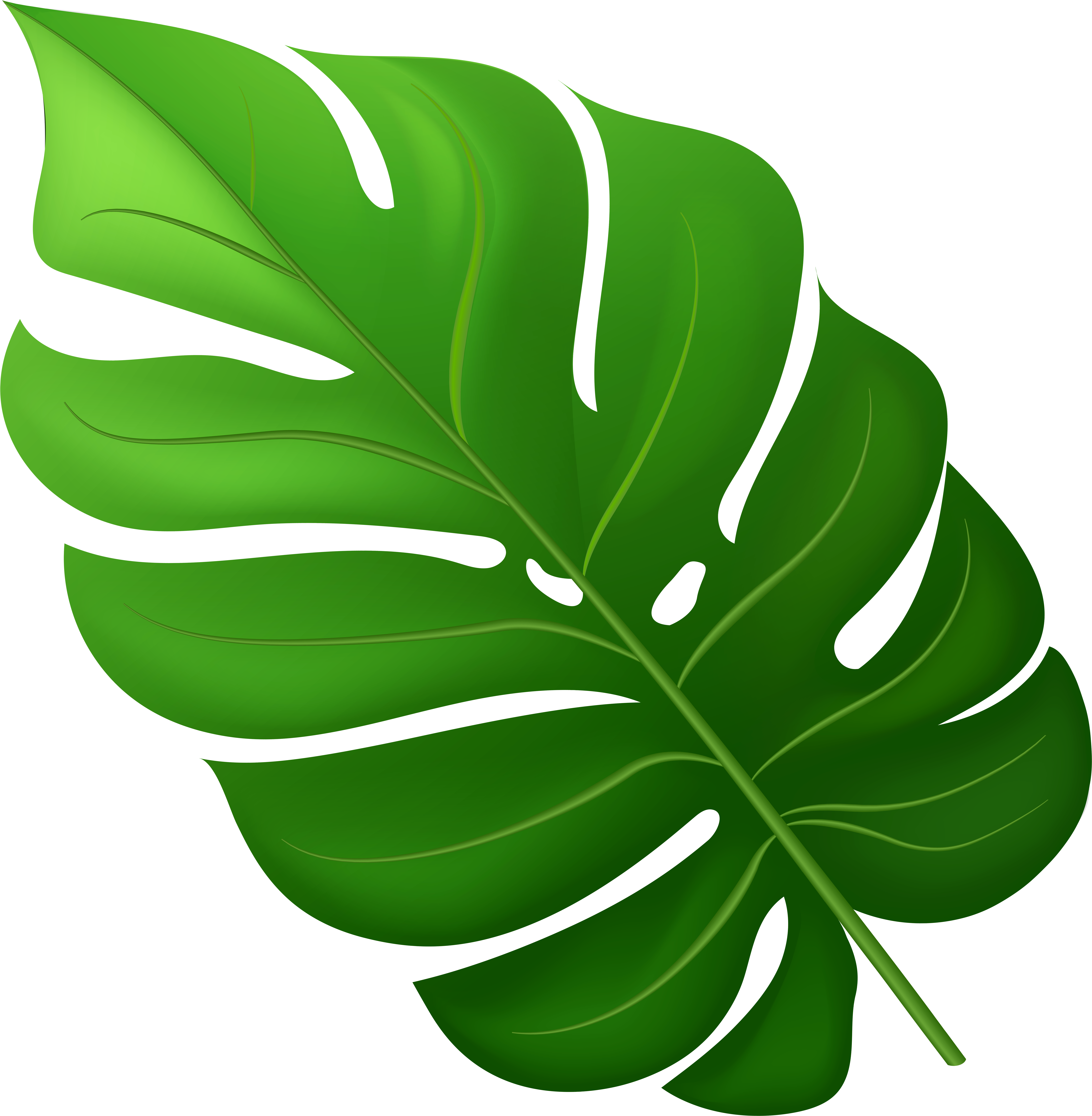 Leaves 桌布 壁紙 — 一片充滿活力的綠色龜背竹葉，帶有鮮明的裂口和葉脈，在純黑色背景上脫穎而出。
