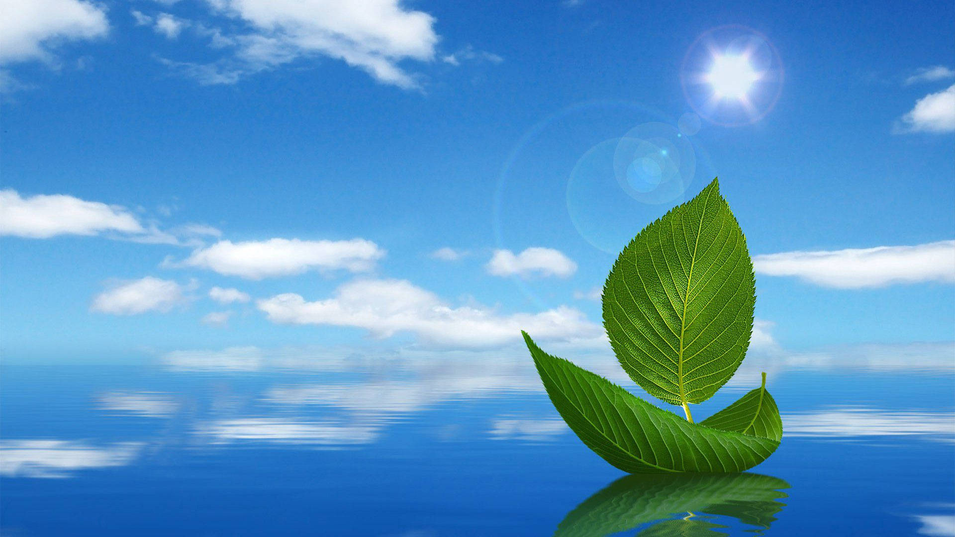 船 桌布 壁紙 — 一片充滿活力的綠葉在平靜的藍色水面上寧靜地漂浮，天空晴朗，有蓬鬆的白雲。
