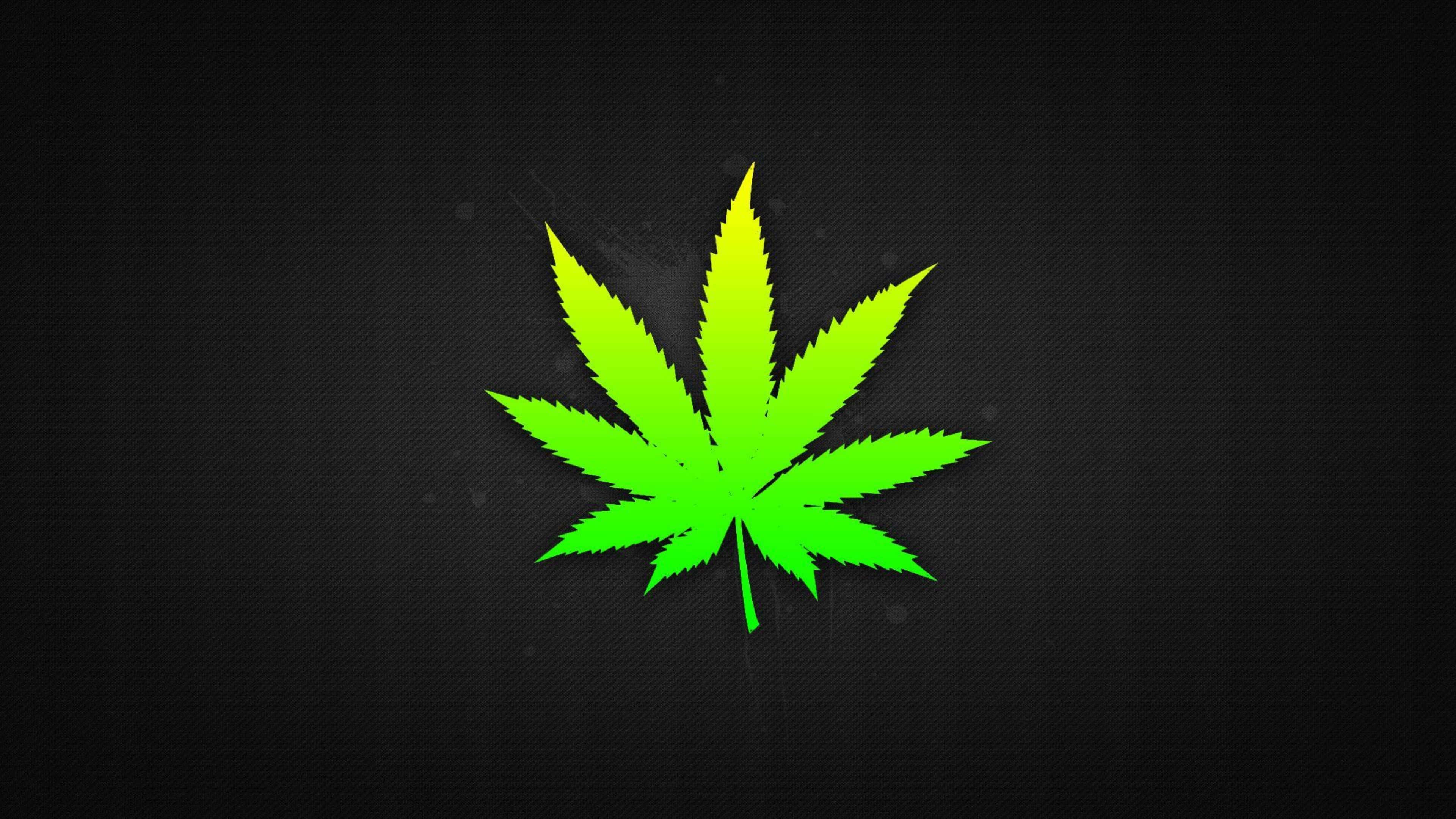 大麻 桌布 壁紙 — 一片充滿活力的螢光綠色大麻葉在帶有紋理的黑色背景上發光，並帶有微妙的粒子效果。