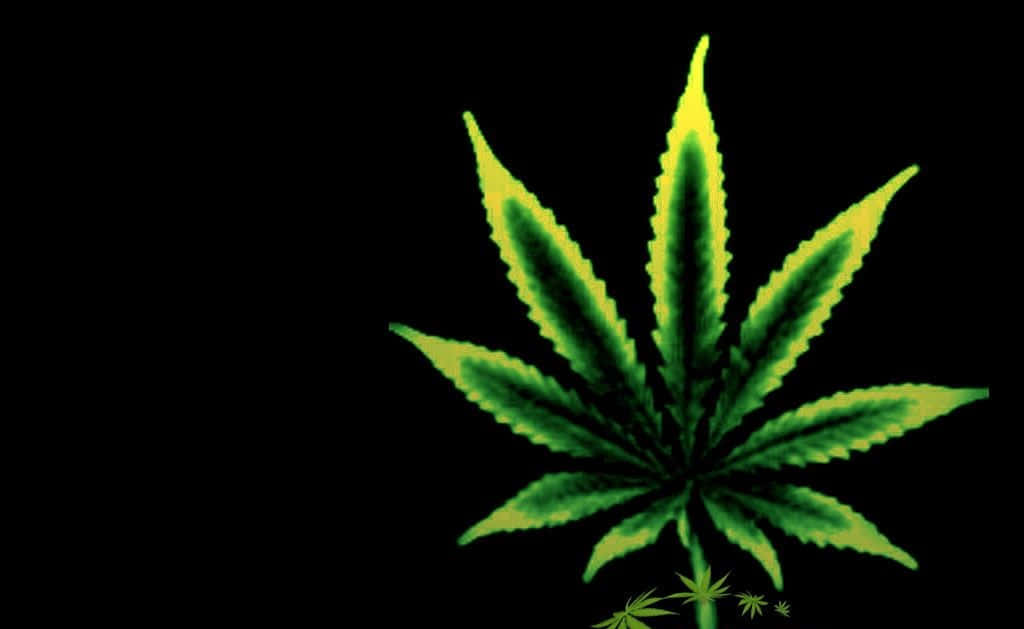 Pot Leaf 桌布 壁紙 — 一片充滿活力的螢光綠色大麻葉在純黑色背景上發光，底部有較小的葉子。