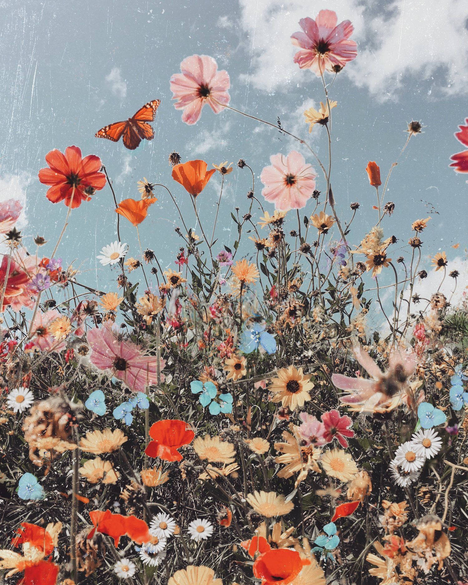 Spring Aesthetic 桌布 壁紙 — 一片充滿活力的野花田，紅色、粉紅色和藍色的花朵在柔和的藍天下盛開，一隻 monarch 蝴蝶在上方翩翩飛舞。