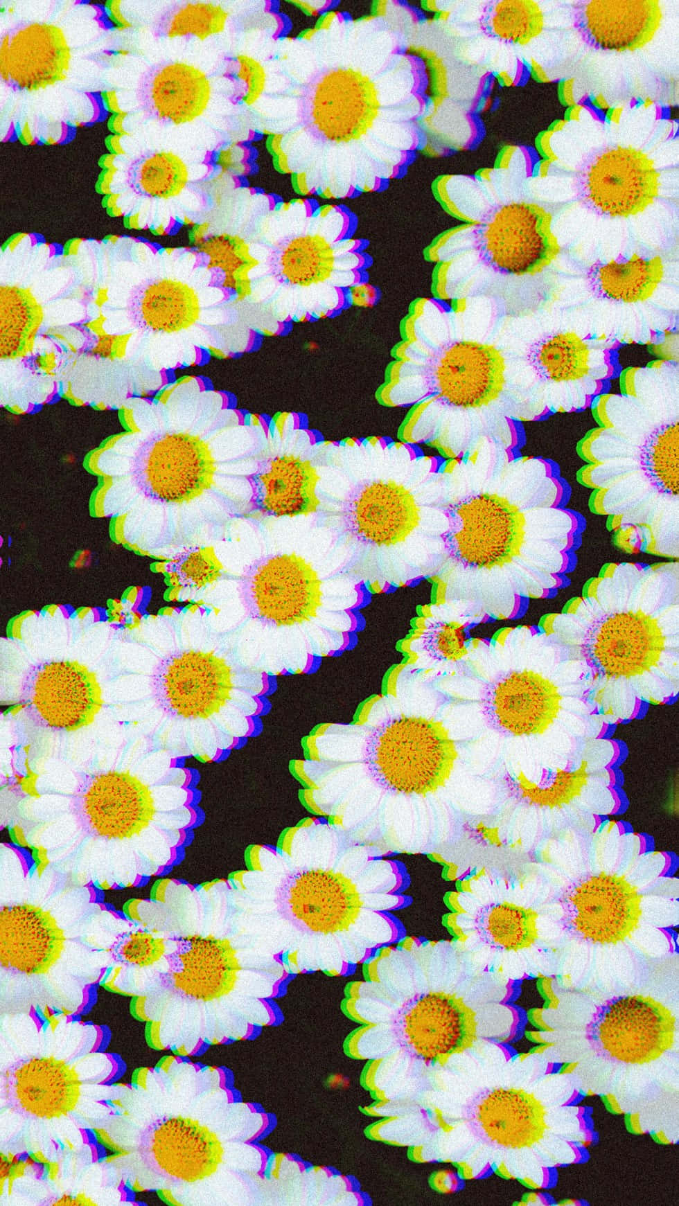 Flower Phone 桌布 壁紙 — 一片充滿活力的雛菊田，在深色背景上帶有故障色差效果。