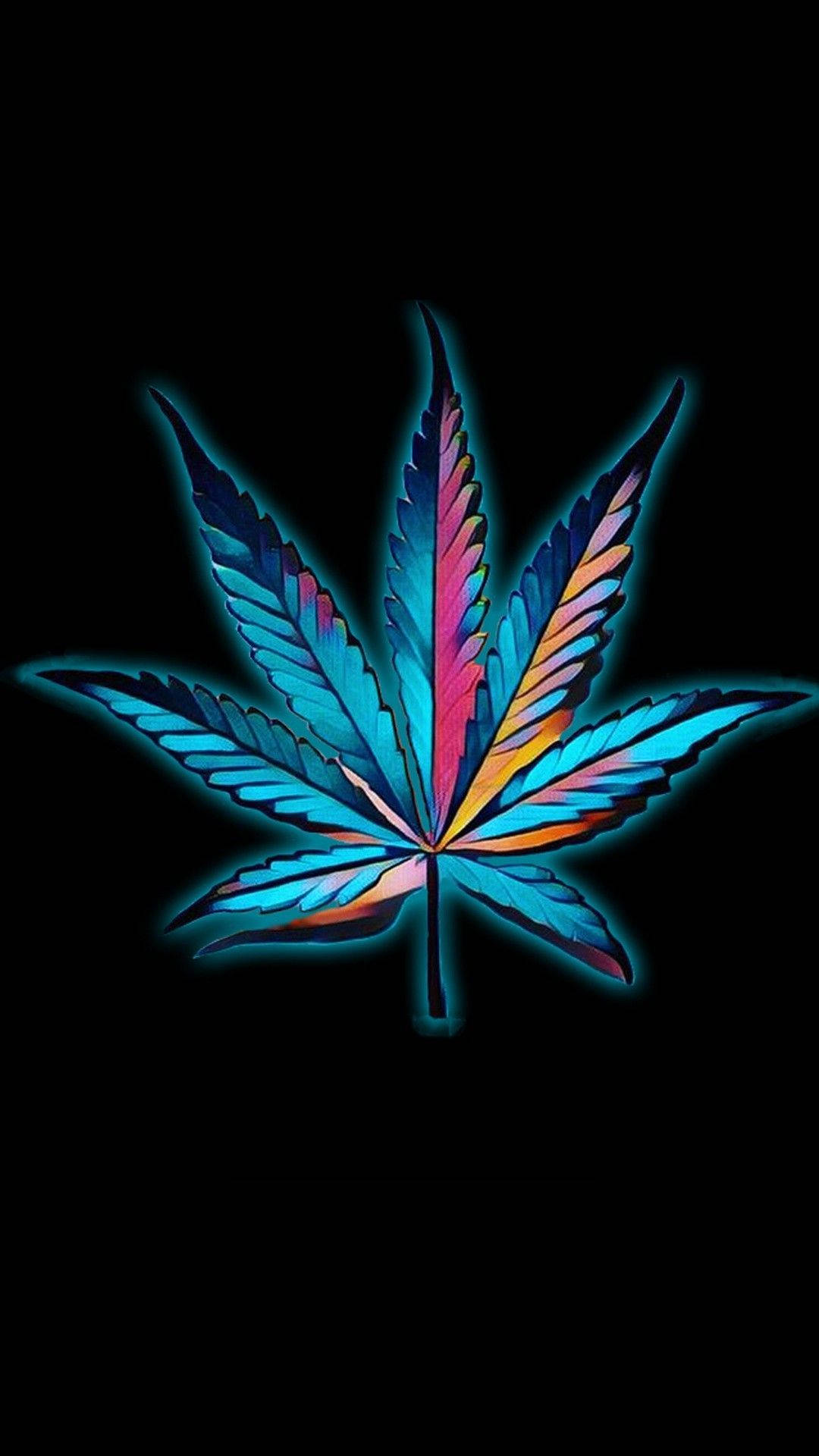 藍色 桌布 壁紙 — 一片充滿活力的霓虹大麻葉，帶有電光藍、粉紅和橙色的漸變，在純黑色背景上發光。