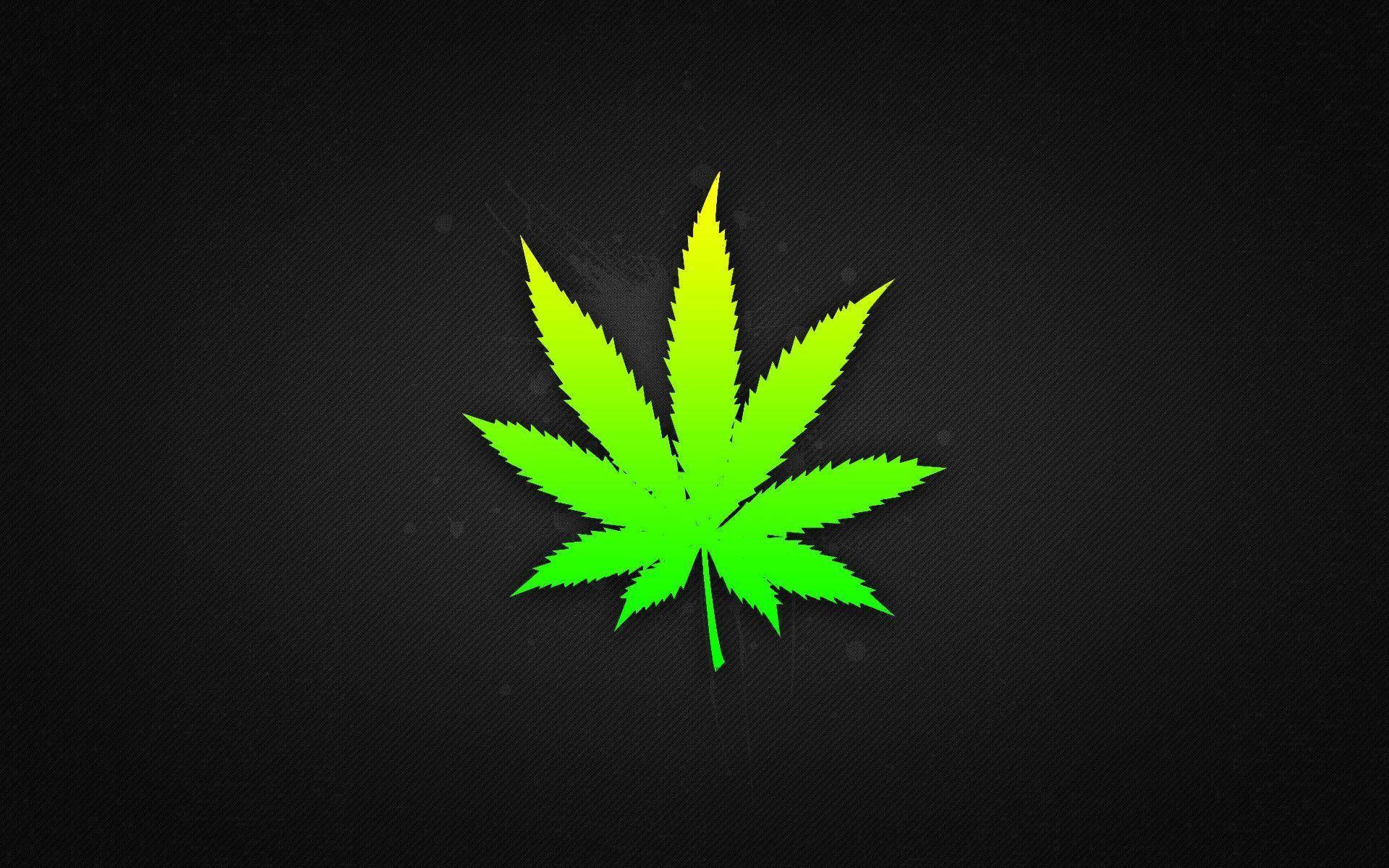 大麻 桌布 壁紙 — 一片充滿活力的霓虹綠色大麻葉在帶有細微斑點的紋理黑色背景上發光。