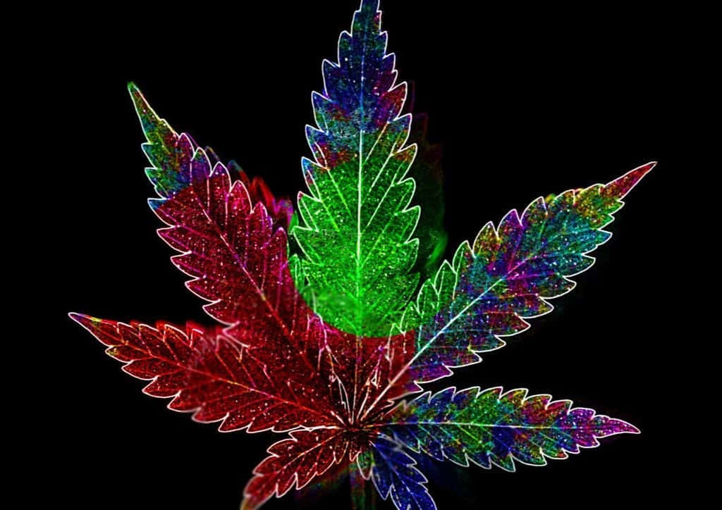 Weed Leaf 桌布 壁紙 — 一片充滿活力的麻葉在純黑背景上散發著閃爍的彩虹色調。