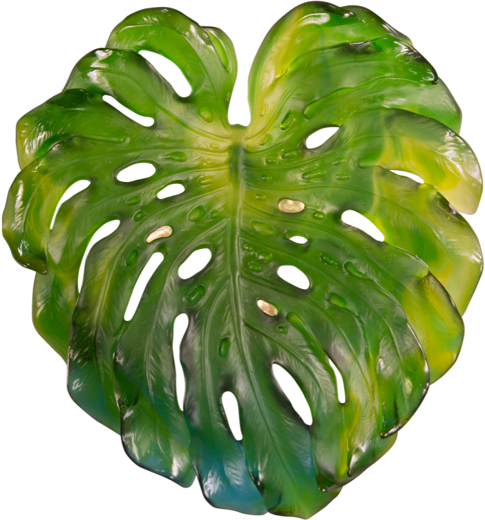 Leaves 桌布 壁紙 — 一片光澤的龜背竹葉，帶有鮮豔的綠色和黃色色調，在純黑色背景上閃爍著水滴。