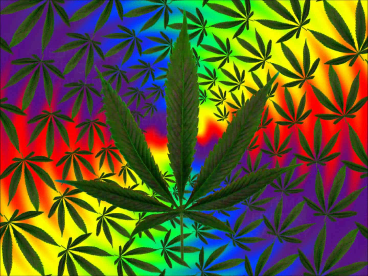 Pot Leaf 桌布 壁紙 — 一片大型綠色大麻葉，置於充滿活力的彩虹漸變背景中央，帶有重複的葉片圖案。