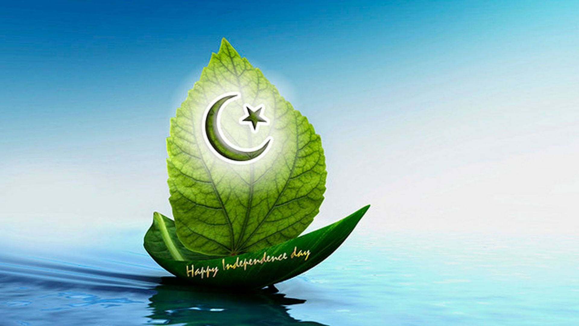 Pakistan 桌布 壁紙 — 一片大綠葉漂浮在平靜的藍色水面上，中央有新月和星星標誌發光。