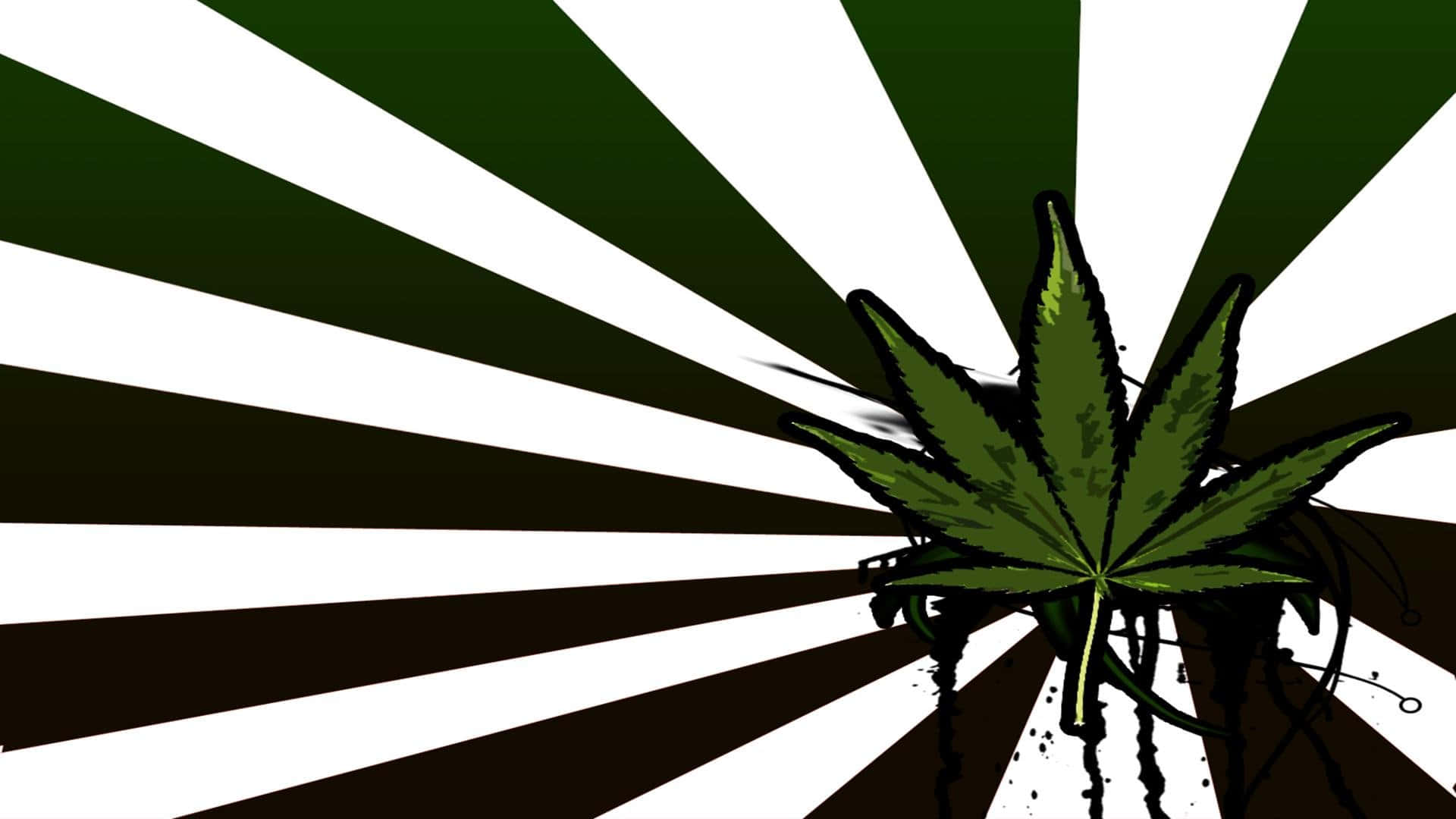 420 桌布 壁紙 — 一片大膽的綠色大麻葉從黑色飛濺中浮現，背景是鮮明的黑白放射條紋。