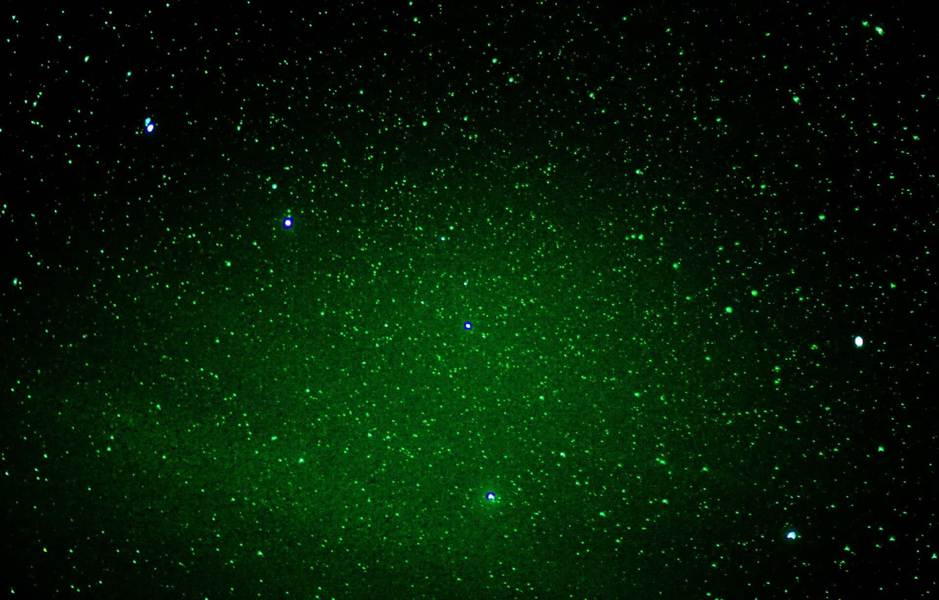 Starry Sky 桌布 壁紙 — 一片宇宙空間，在深邃的黑色虛空中閃耀著充滿活力的綠色星星。