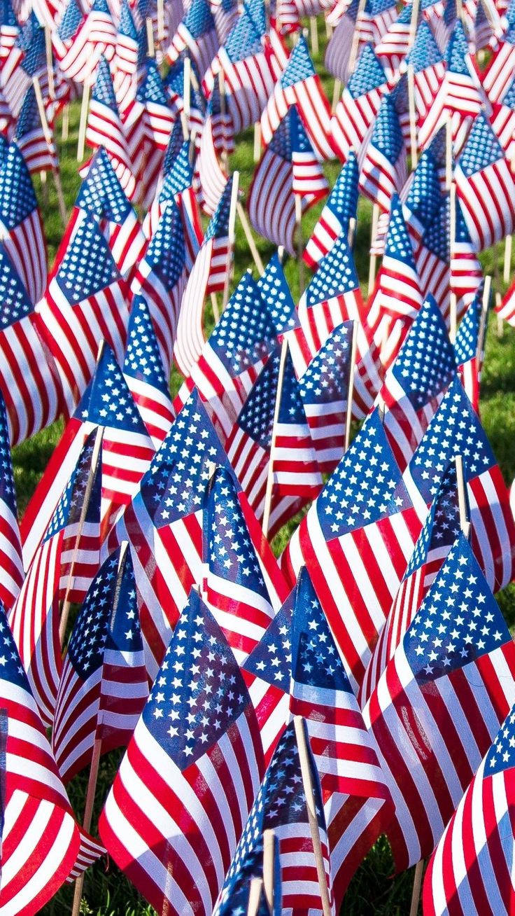 Veterans 桌布 壁紙 — 一片密集的美國國旗在陽光下飄揚，綠草從中探出頭來。