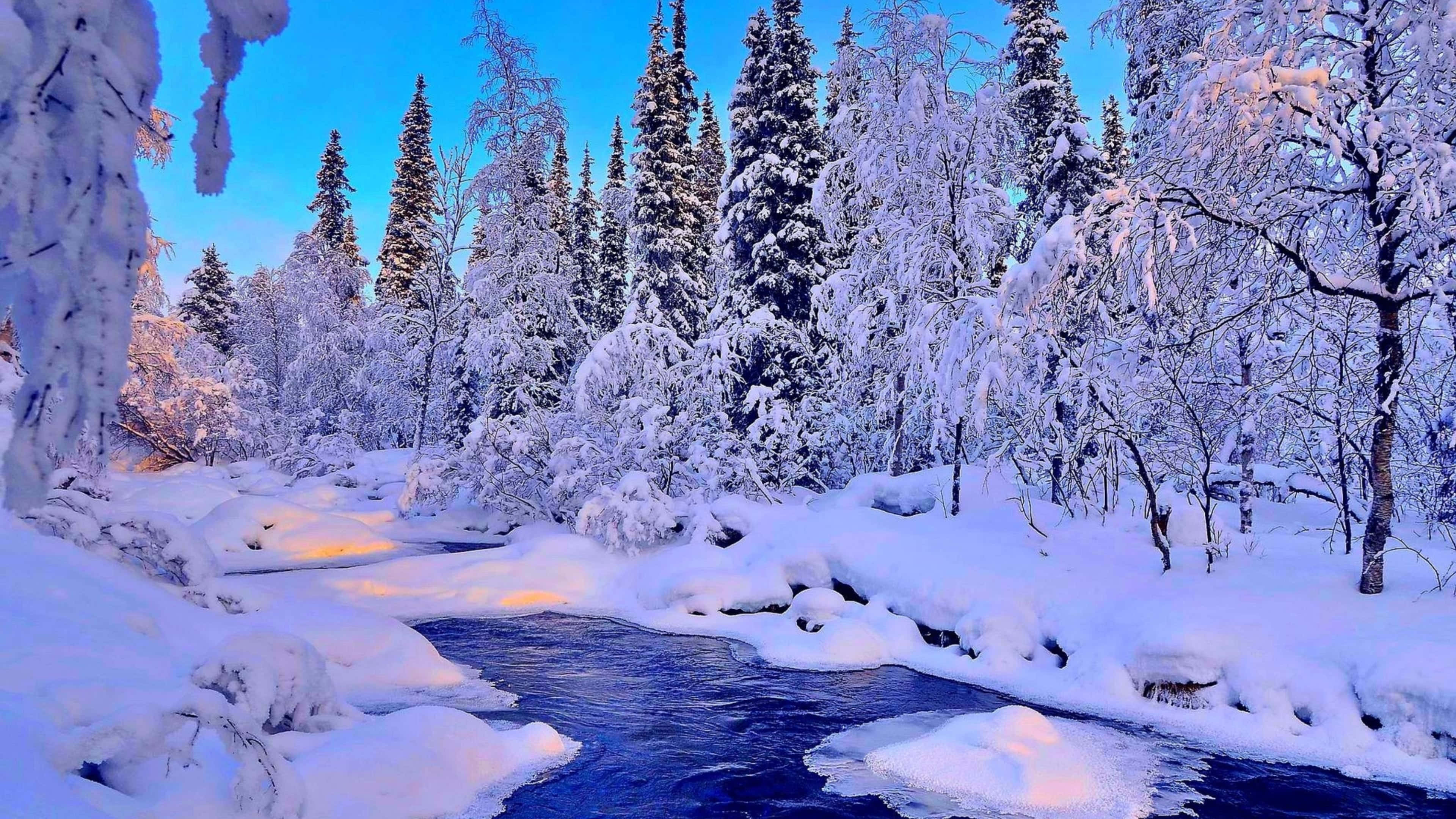 Beautiful Winter 桌布 壁紙 — 一片寧靜的冬季森林，白雪覆蓋的樹木和一條在暮色天空下流淌的河流。