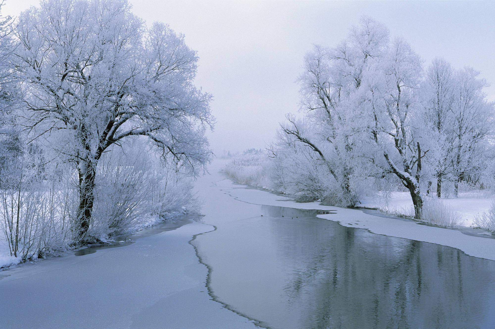雪景 桌布 壁紙 — 一片寧靜的冬日景象，積雪覆蓋的樹木排列在一條部分結冰的河流兩岸，天空蒼白。