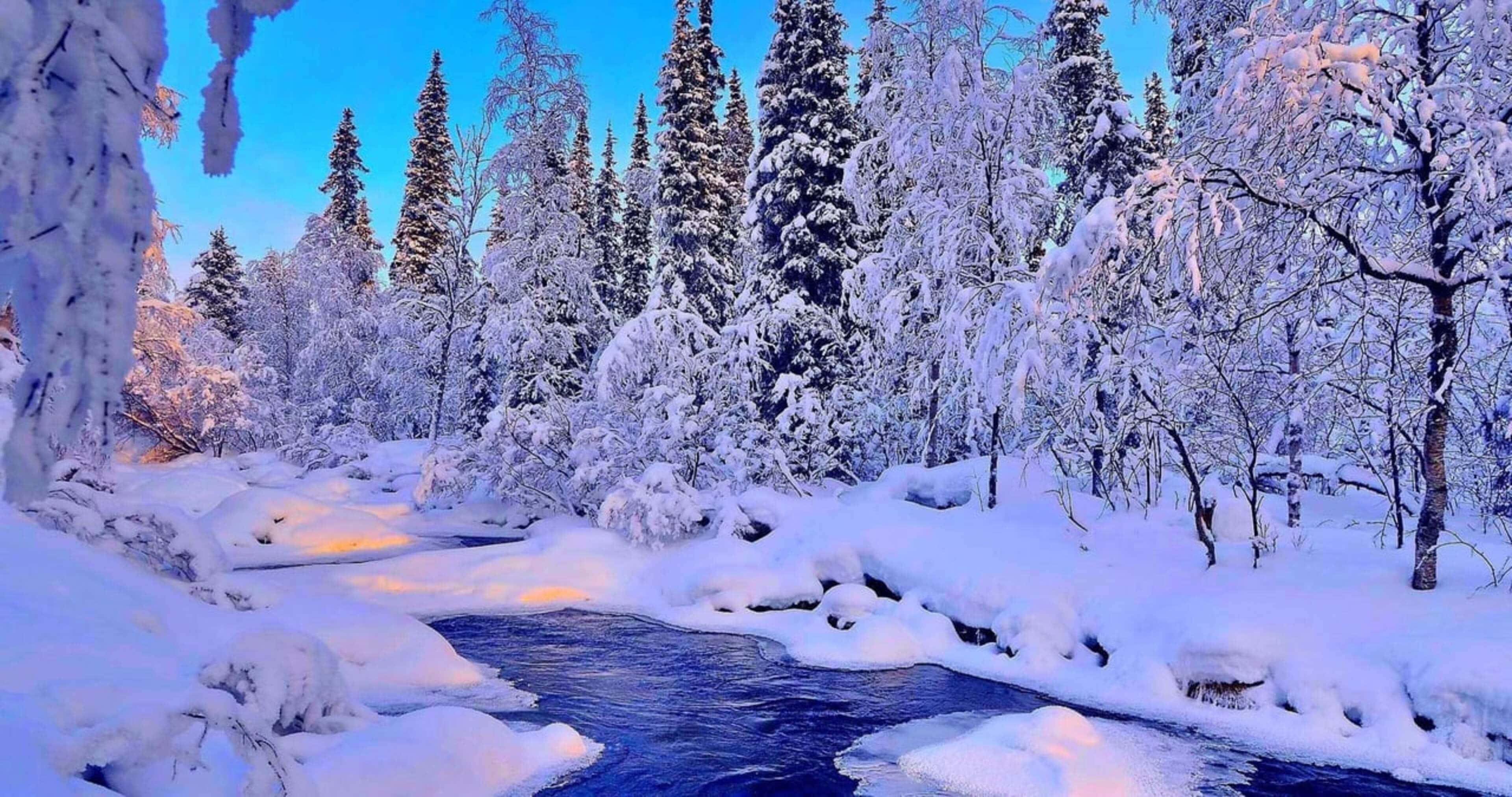 4K Winter 桌布 壁紙 — 一片寧靜的冬日森林，白雪覆蓋的樹木和一條在暮色天空下流淌的河流。