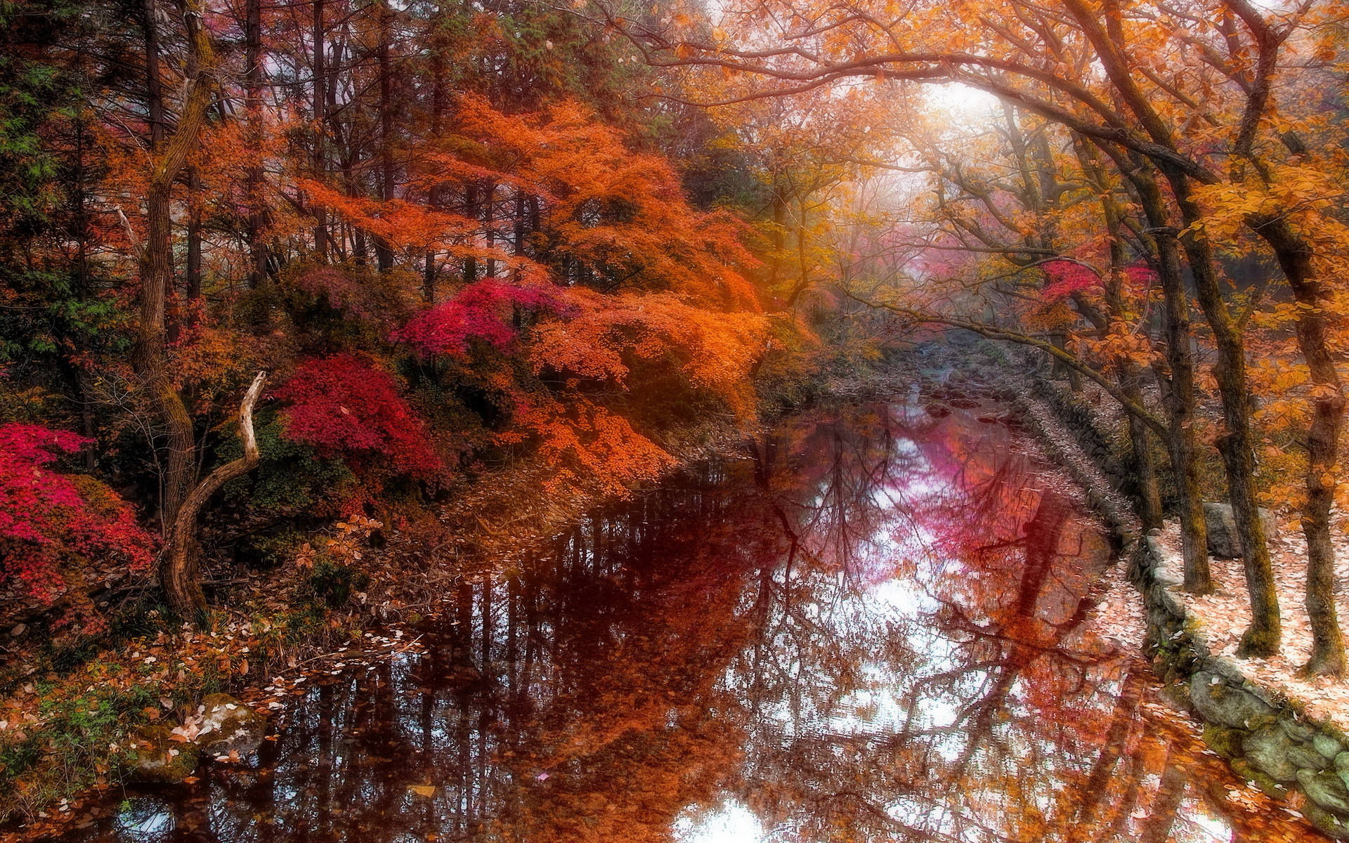 South Korea 桌布 壁紙 — 一片寧靜的秋日森林，鮮豔的紅色、橙色和粉紅色樹葉完美地倒映在平靜的河流中，周圍環繞著霧氣瀰漫的樹木。
