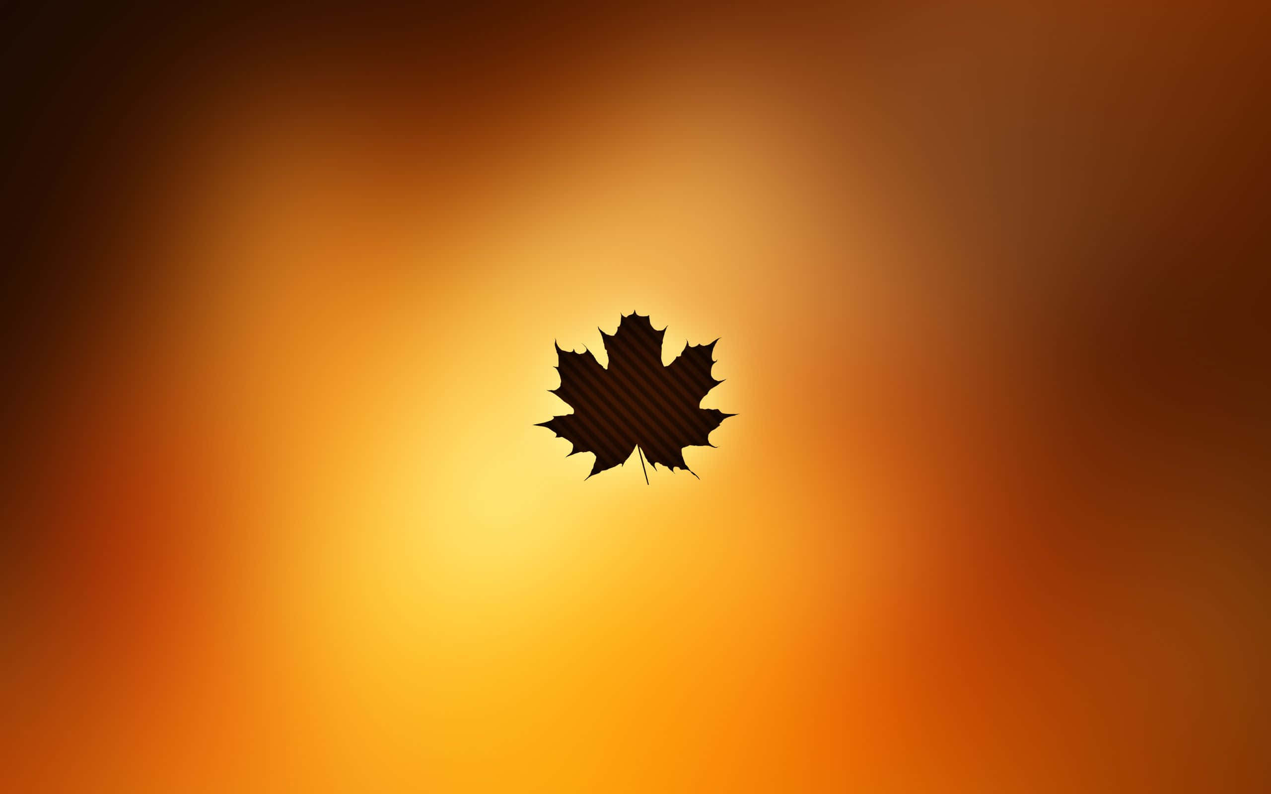 Simple Autumn 桌布 壁紙 — 一片帶有對角線條的楓葉剪影，漂浮在溫暖漸層的日落天空上。