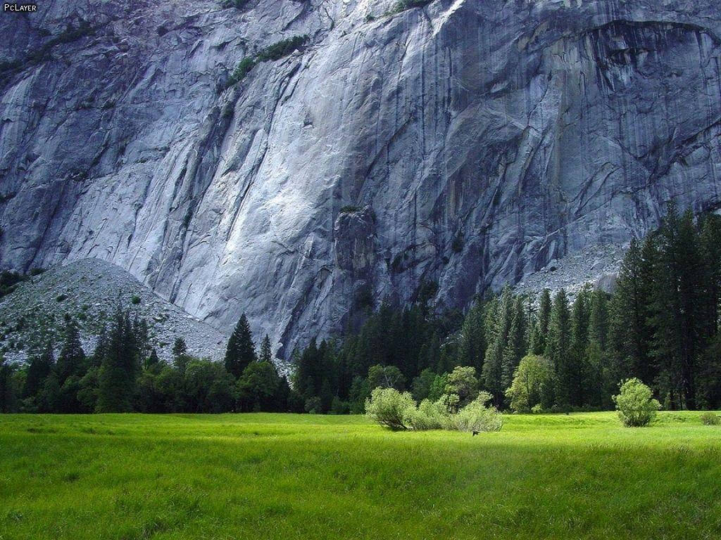 Grass 桌布 壁紙 — 一片廣闊的綠色草地延伸在一座高聳的灰色花崗岩懸崖前，懸崖底部散落著常綠樹木。