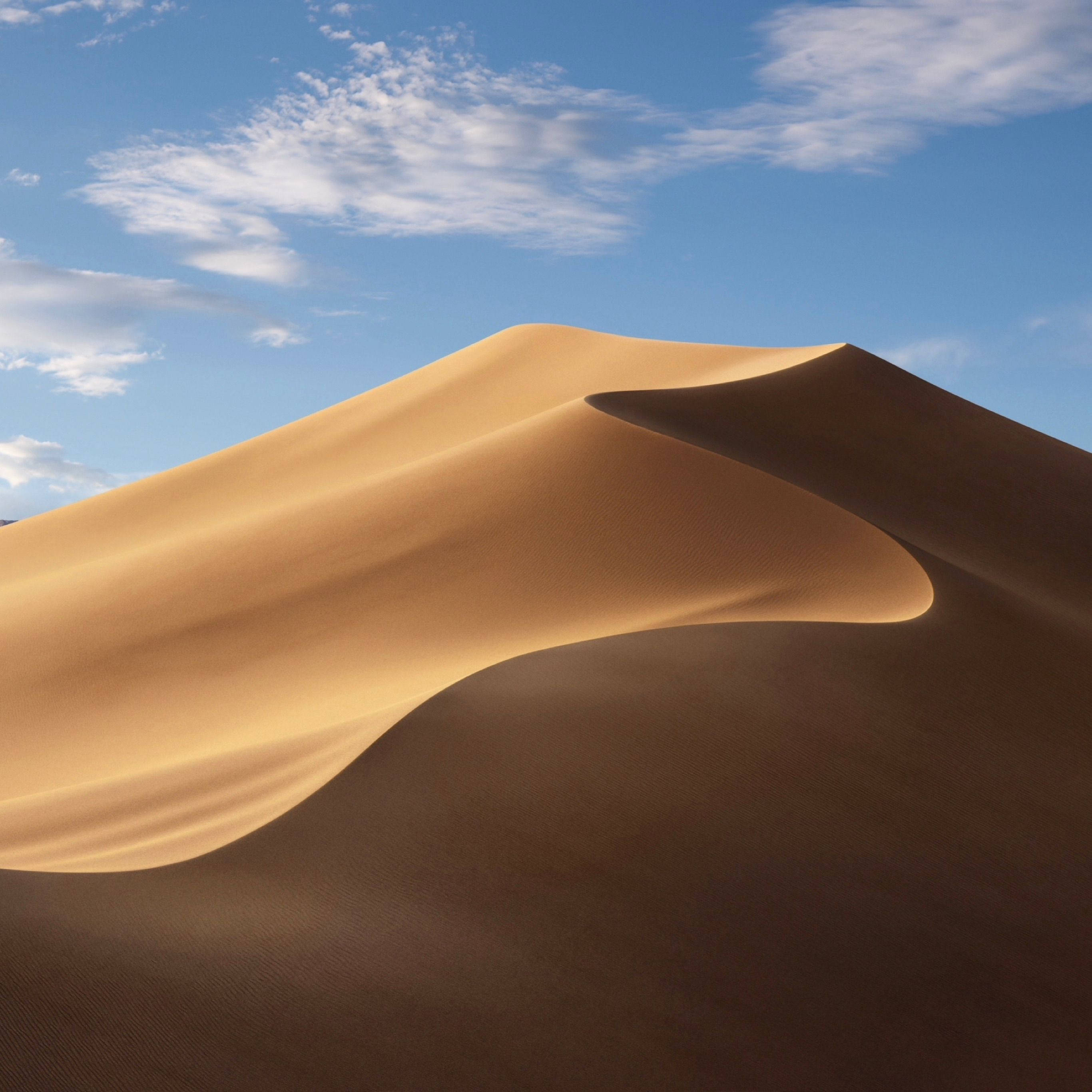 Desert 桌布 壁紙 — 一片廣闊的金色沙丘在蔚藍天空和縷縷白雲下優美地彎曲。