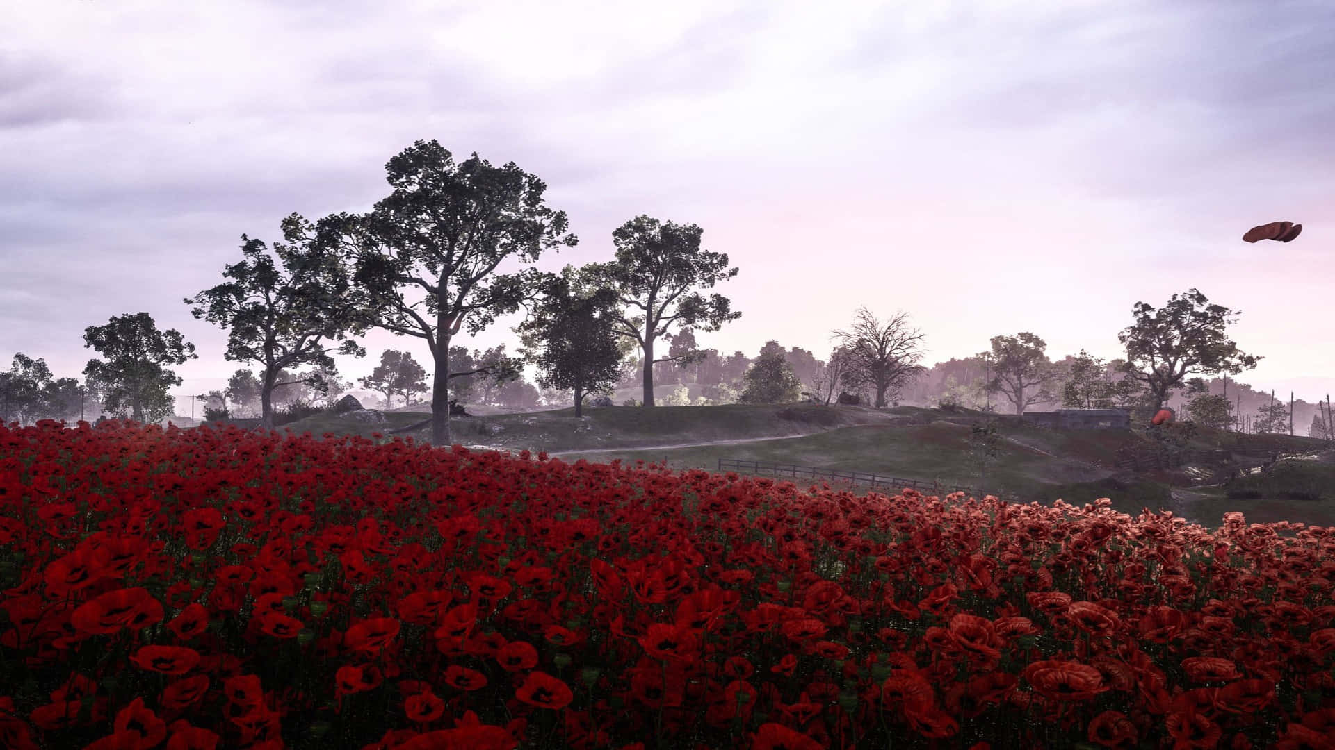 1920x1080 Battlefield 1 桌布 壁紙 — 一片廣闊的鮮紅色罌粟花田，在柔和的暮色天空下，向著剪影般的樹木和一個遙遠的飛行物體延伸。