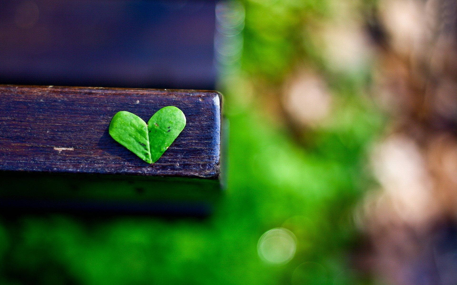 Green Heart 桌布 壁紙 — 一片心形綠葉放在深色木長椅上，背景是柔和模糊的森林。