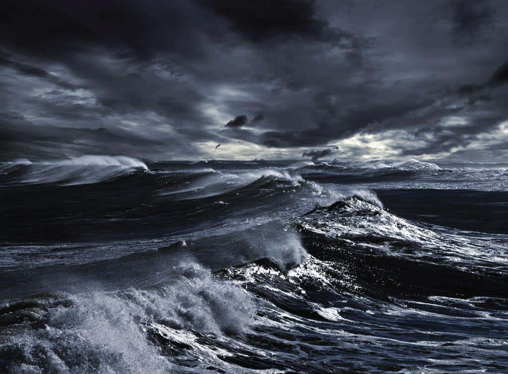 Creepy Ocean 桌布 壁紙 — 一片戲劇性的暴風雨海洋，高聳的黑暗波浪在厚重的雲層天空下翻騰，一隻孤獨的海鷗在飛翔。