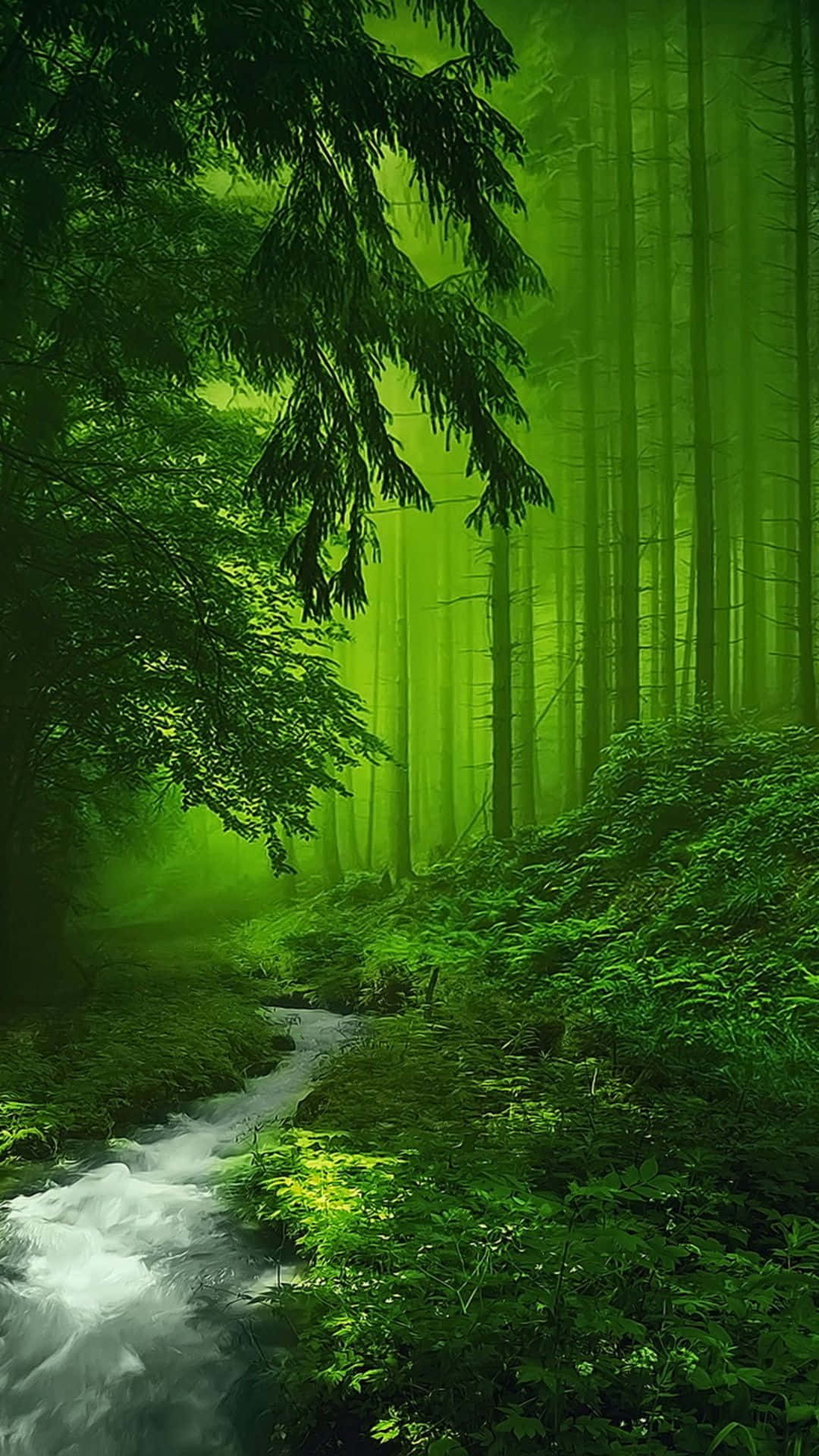 Green Forest 桌布 壁紙 — 一片明亮的翡翠森林，湍急的小溪蜿蜒穿過茂密的樹葉，斑駁的陽光灑落其間。