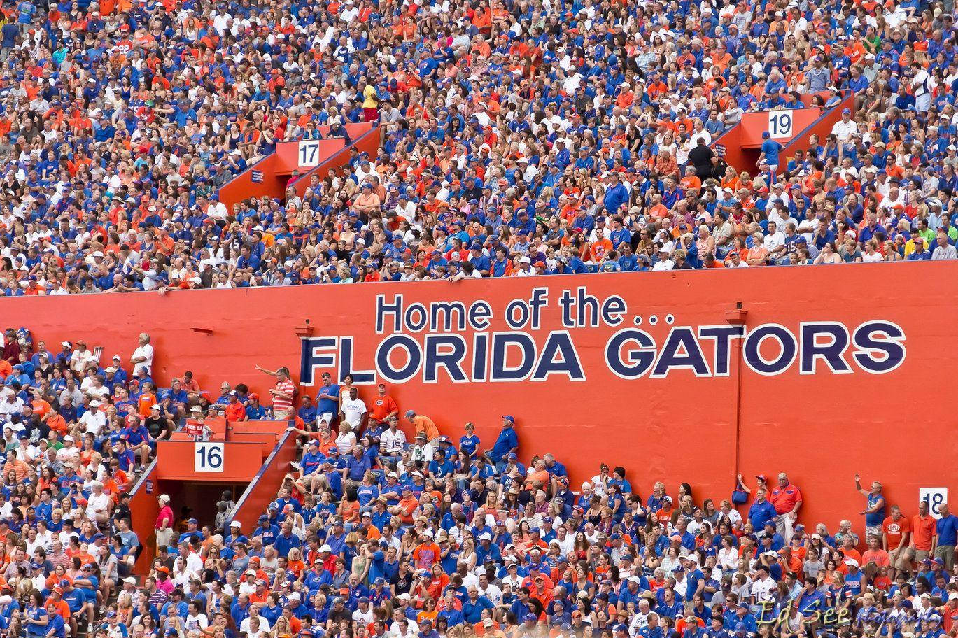 Florida Gators 桌布 壁紙 — 一片橙色和藍色的球迷海洋，填滿了體育場的一個區域，下方是醒目的紅色牆壁，宣告著 Home of the... FLORIDA GATORS。