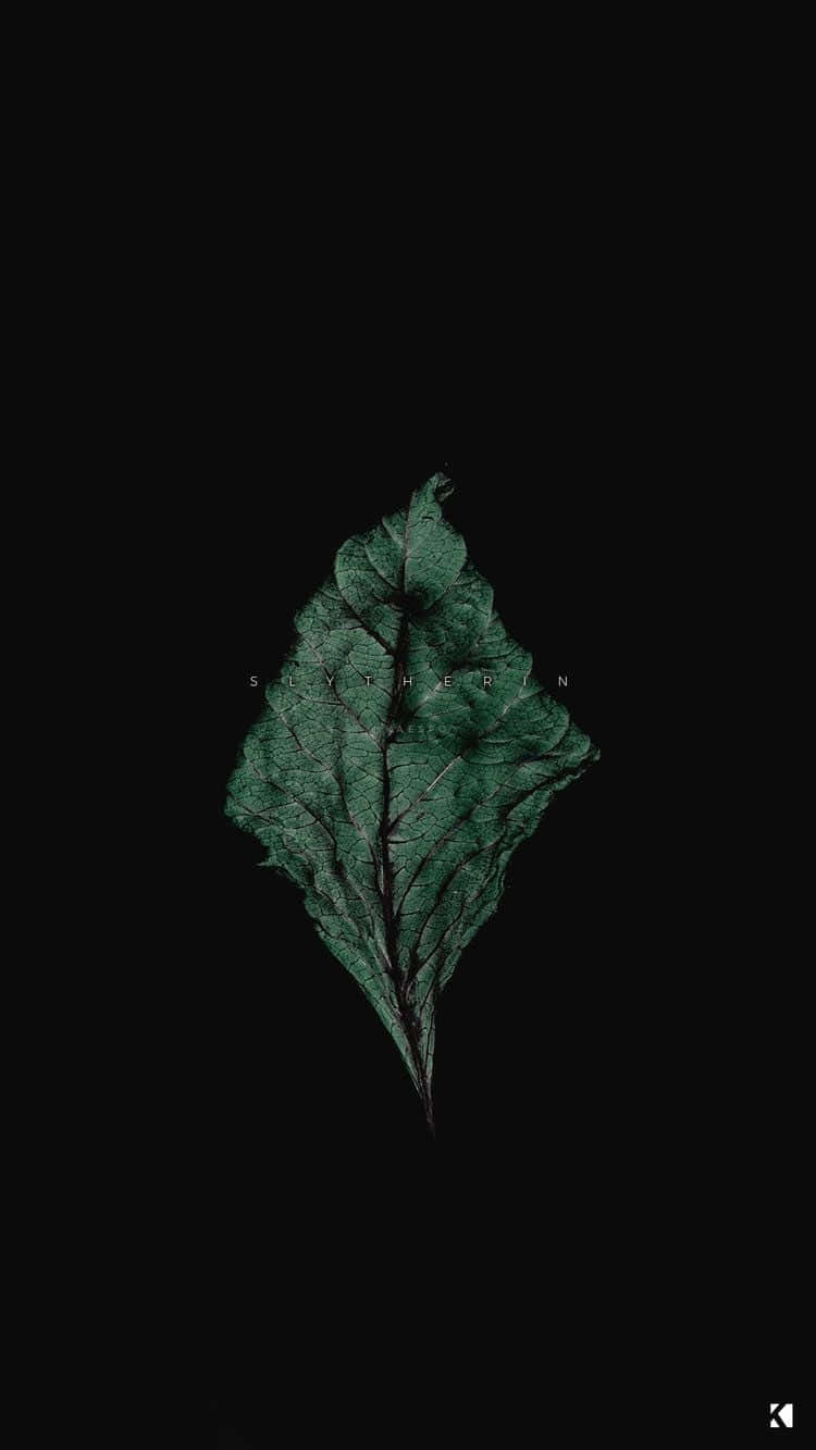Green And Black 桌布 壁紙 — 一片深綠色葉子，帶有複雜的葉脈，漂浮在純黑色背景上，中間微妙地刻有 'Slytherin' 一詞。