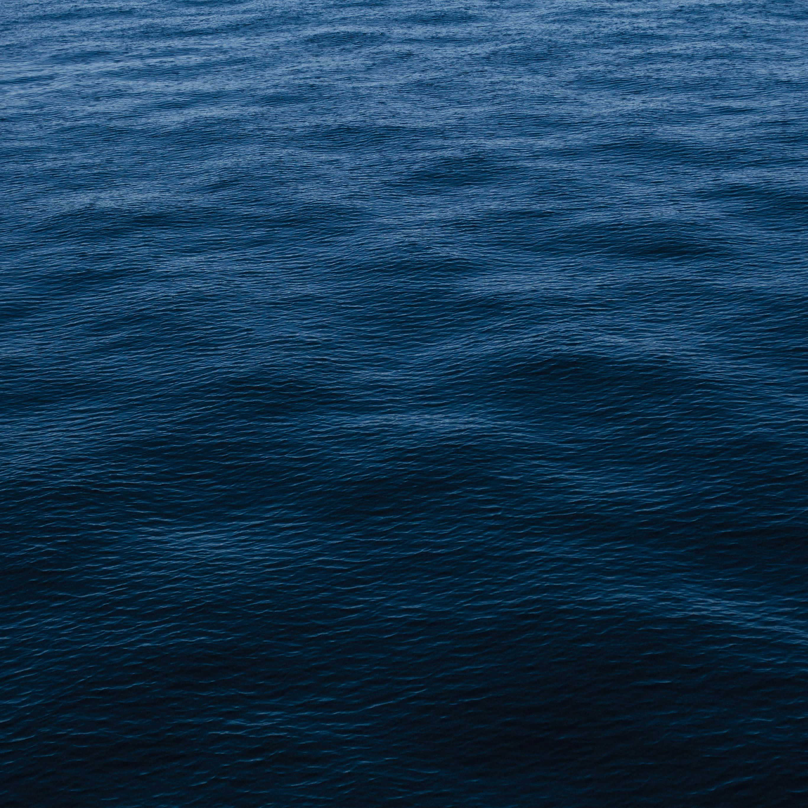 Dark Ocean 桌布 壁紙 — 一片深藍色的廣闊海洋，在柔和的暮光下泛起輕柔的漣漪。