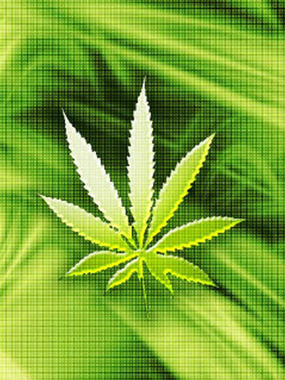 葉子 桌布 壁紙 — 一片發光的白色大麻葉，位於充滿活力的綠色像素化背景中央，帶有放射狀光線。