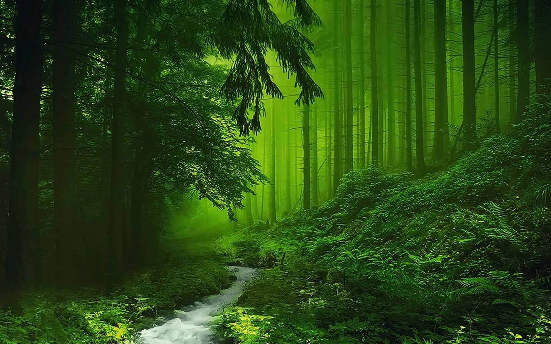 Greenery 桌布 壁紙 — 一片神秘的森林閃耀著翠綠的光芒，一條小溪蜿蜒穿過高聳的樹木和蕨類植物。