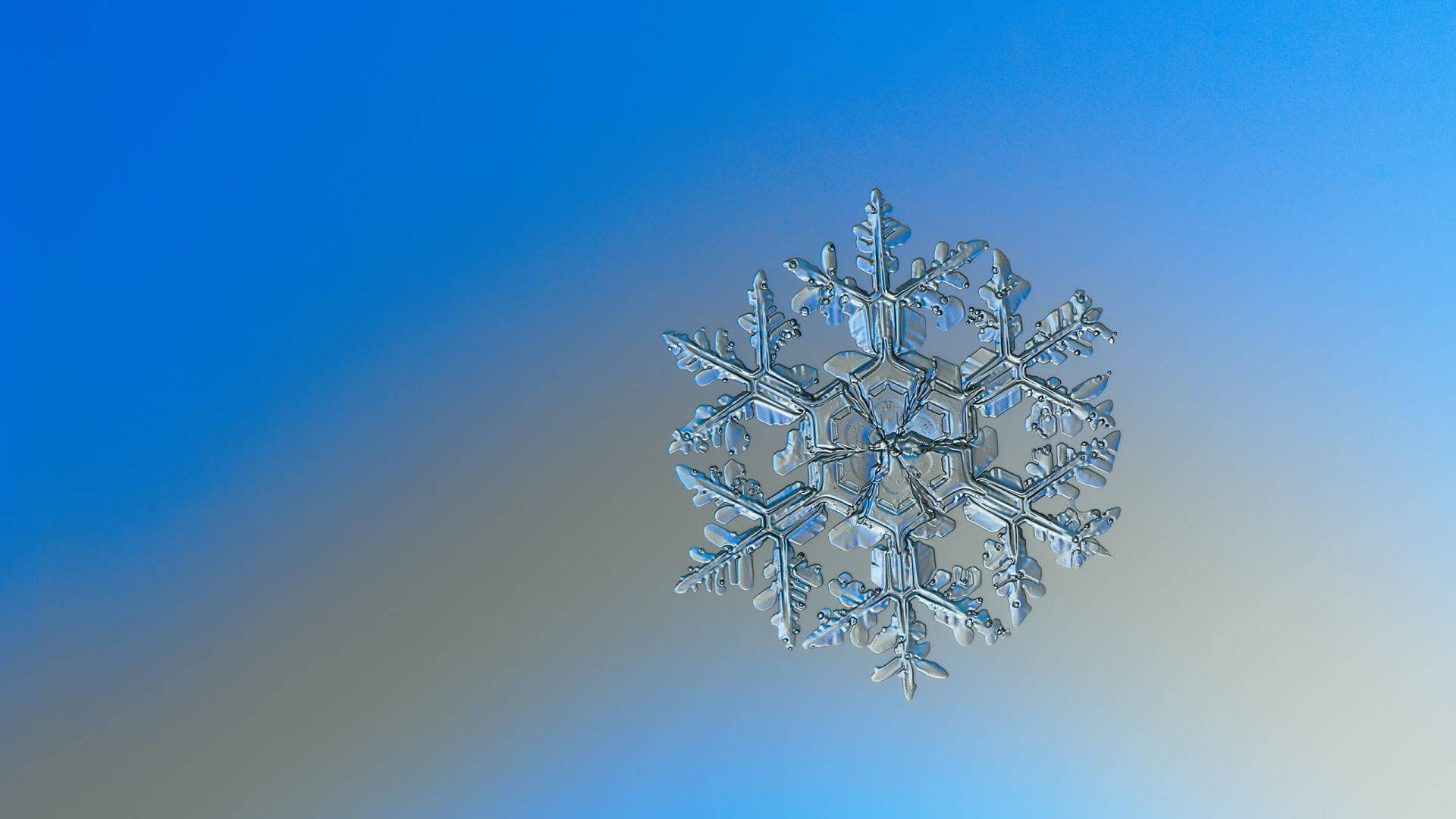 雪花 桌布 壁紙 — 一片精緻的雪花，帶有晶體狀的枝條，漂浮在由藍色漸變至柔和米色的天空中。