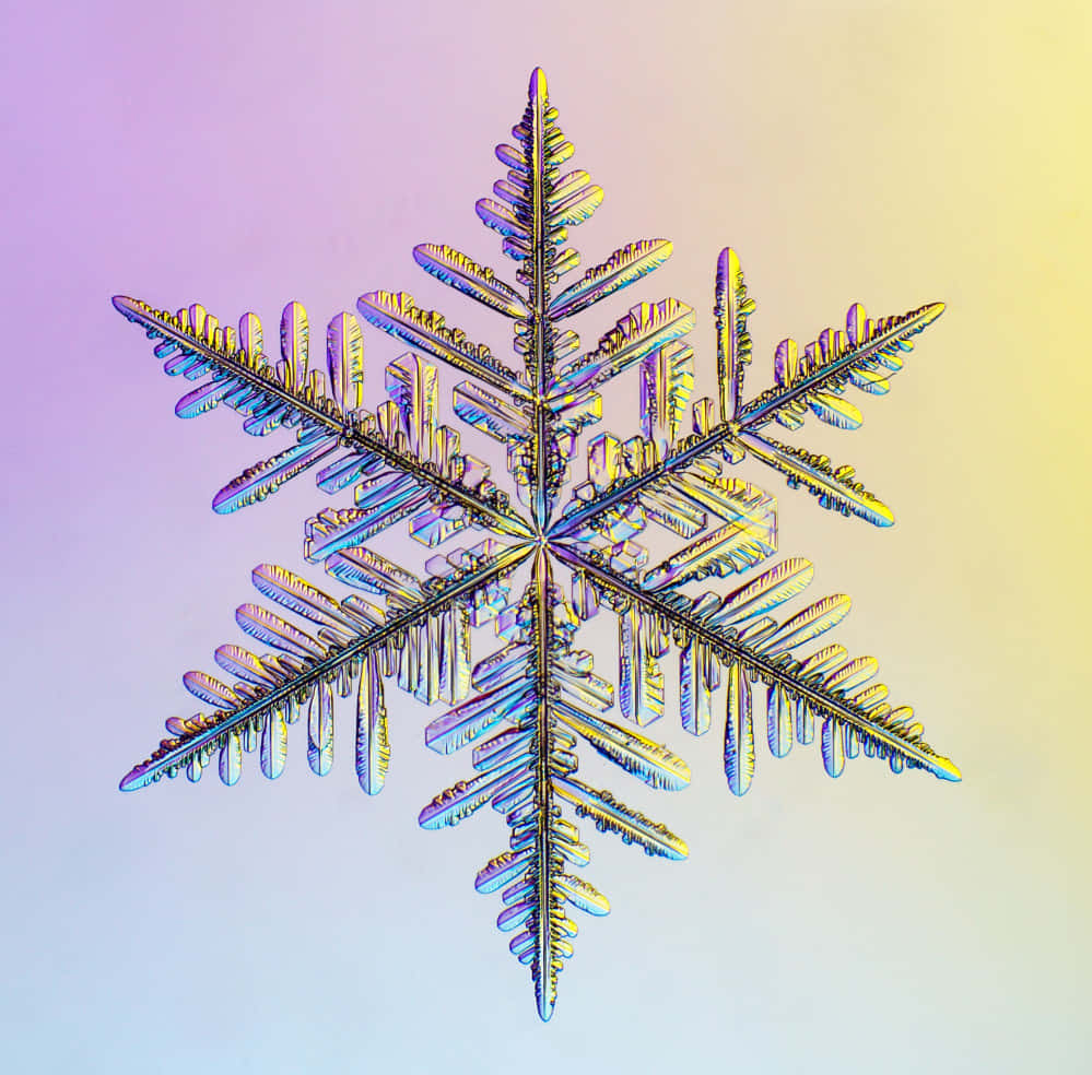 雪花 桌布 壁紙 — 一片精緻的雪花，帶有虹彩藍、黃和紫色調，在柔和的漸變背景上閃耀。