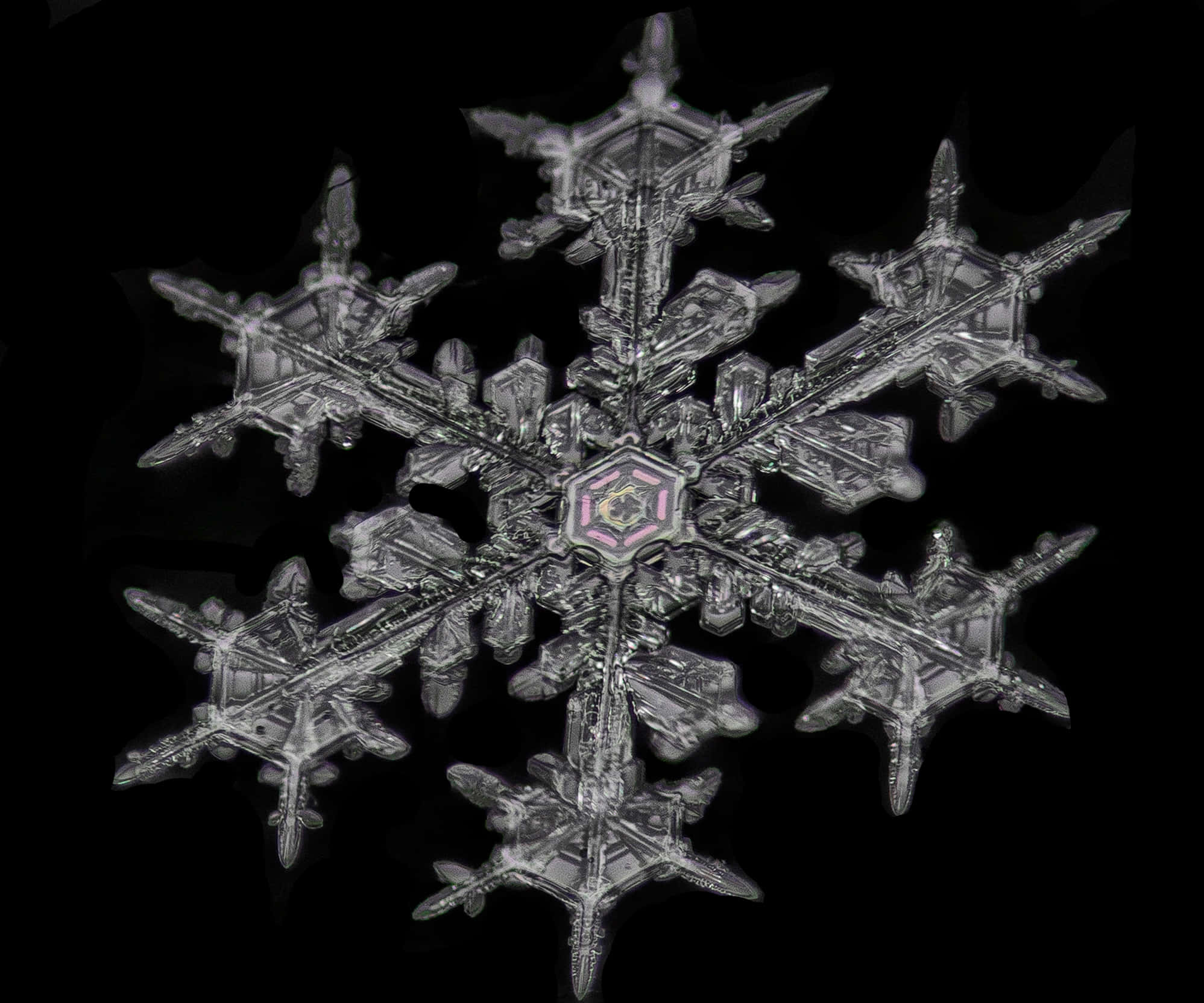 雪花 桌布 壁紙 — 一片精緻的雪花，擁有六個對稱的臂和一個發光的粉紅色中心，在純黑色背景上脫穎而出。