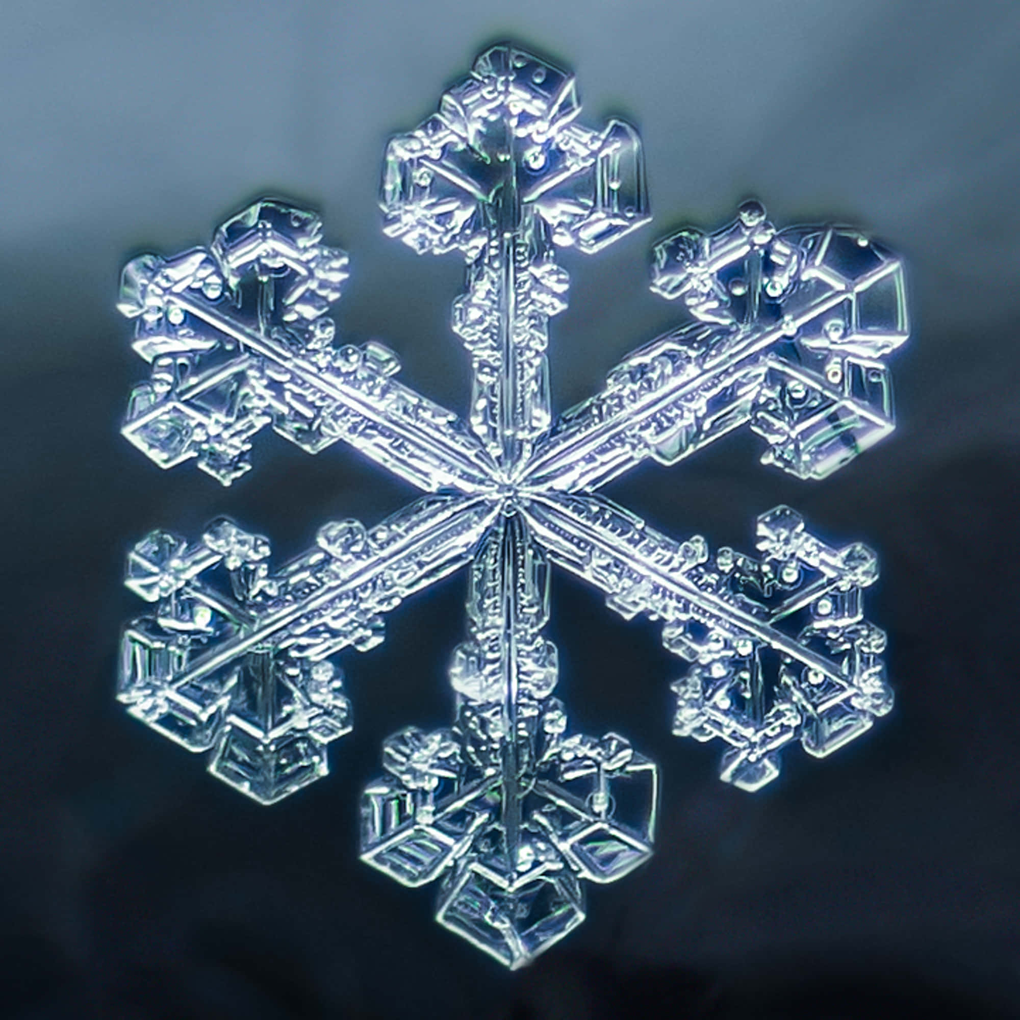 雪花 桌布 壁紙 — 一片精緻的雪花，擁有六個對稱的臂，在深色漸變背景上閃耀。