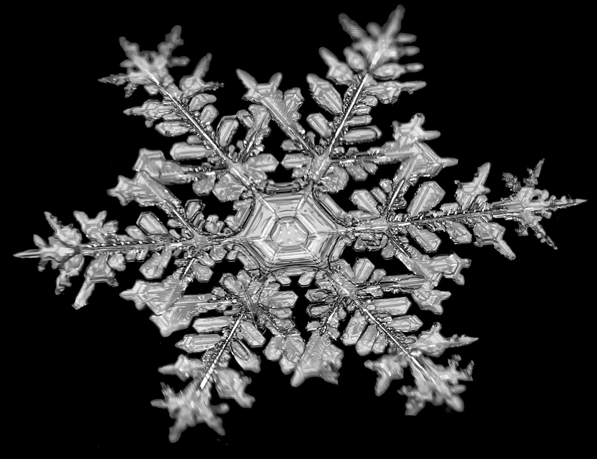 雪花 桌布 壁紙 — 一片精緻的雪花，有六個對稱的臂，在純黑背景上發光。