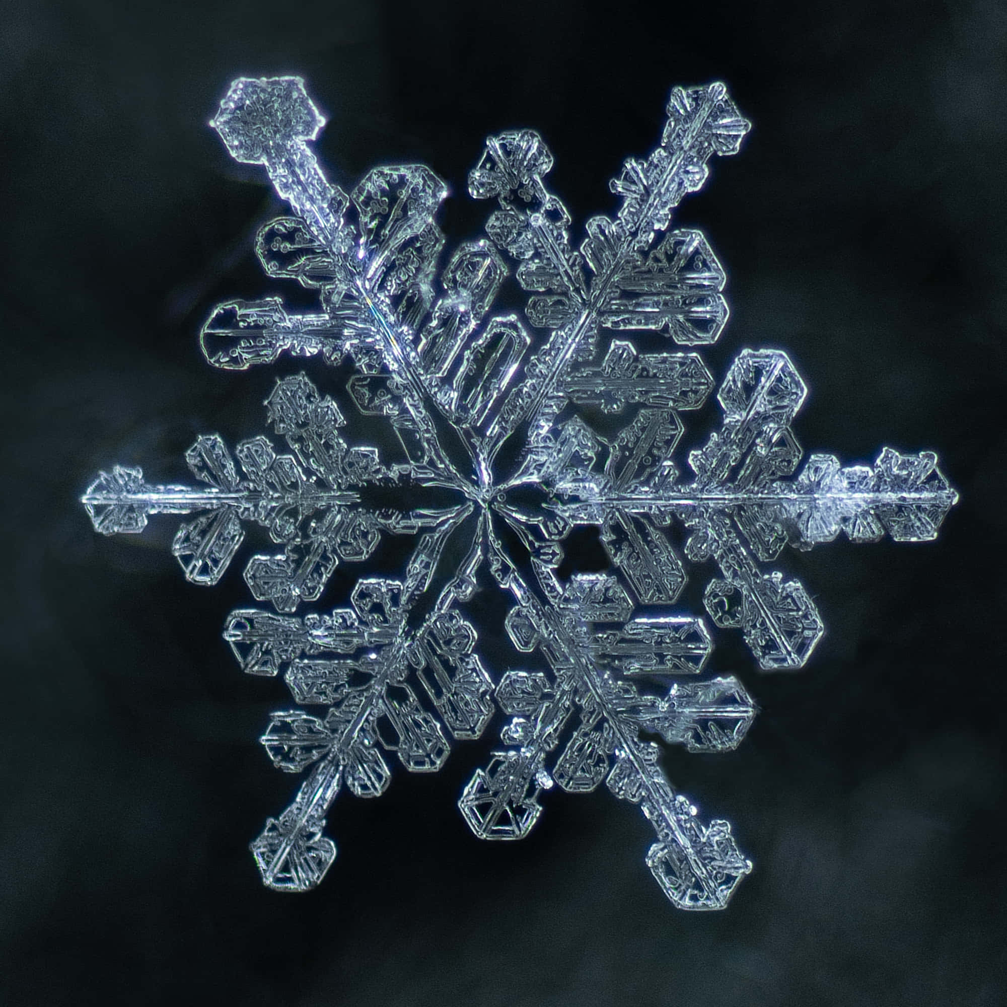 雪花 桌布 壁紙 — 一片精緻的雪花，有六個對稱的臂，在深色紋理背景上發光。