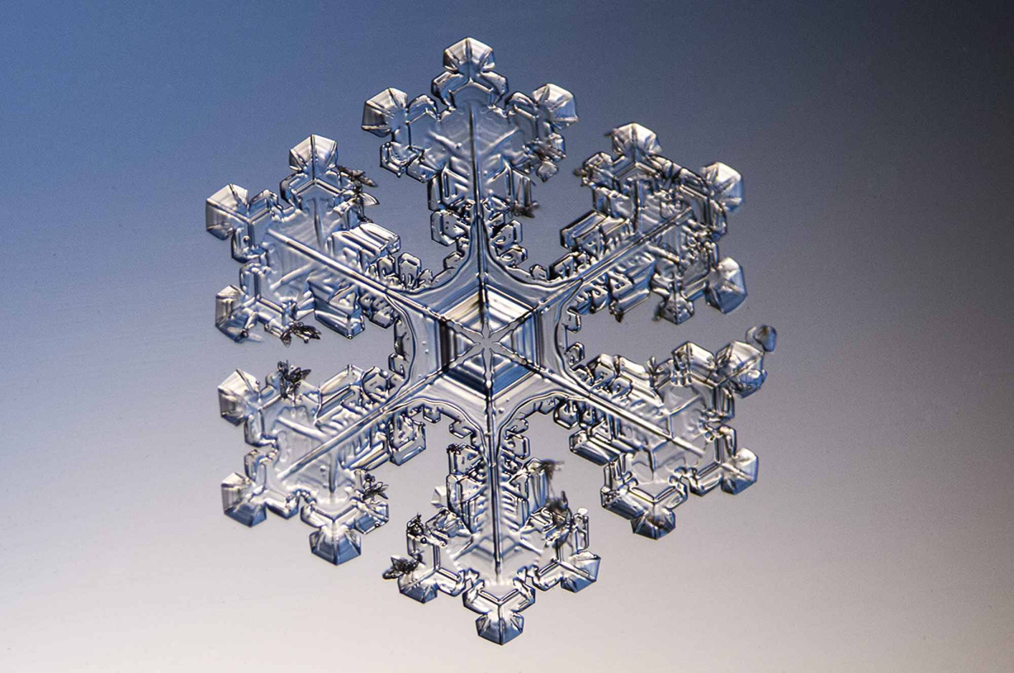 雪花 桌布 壁紙 — 一片精緻的雪花，有六個對稱的臂，在柔和的藍色漸變背景上發光。