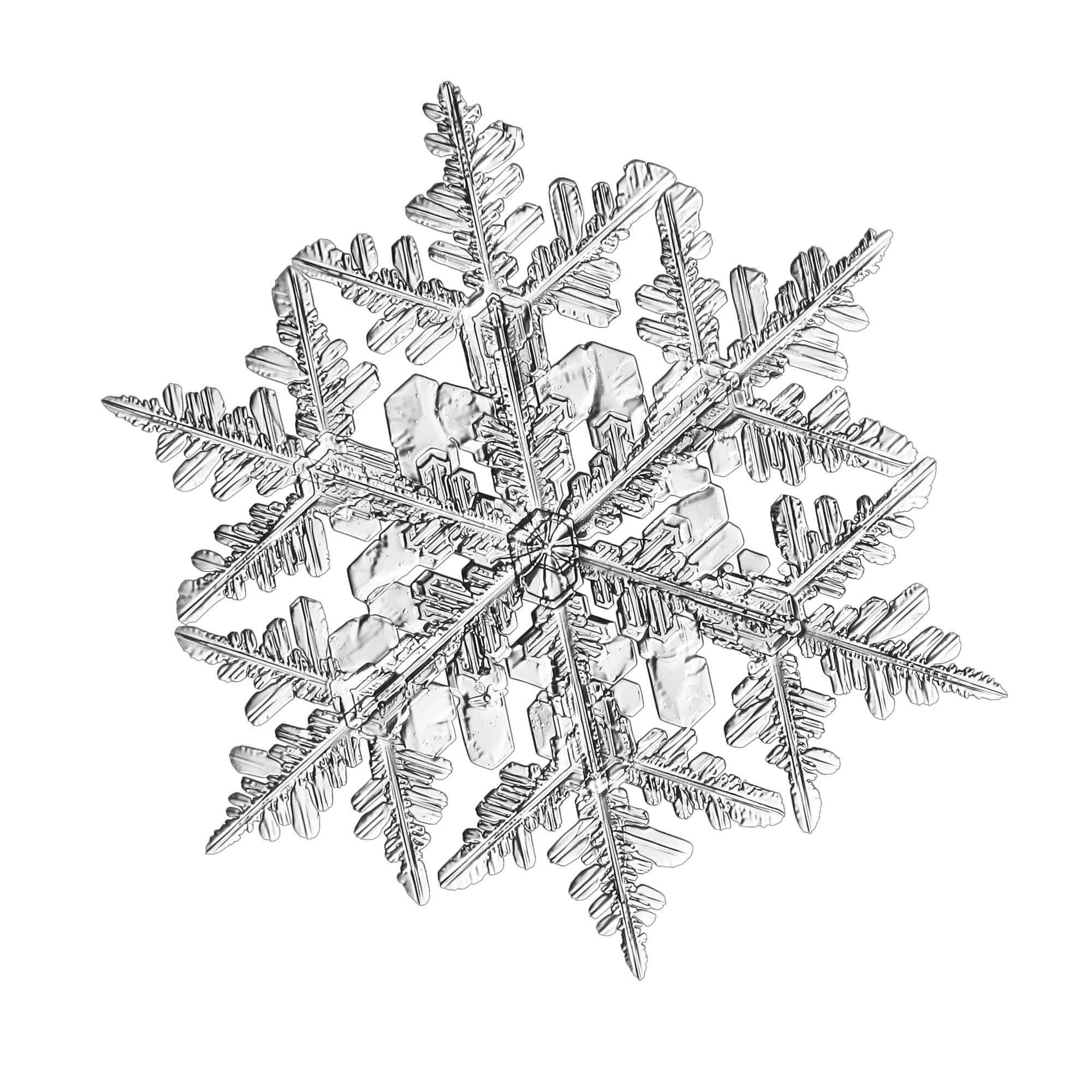 碎形 桌布 壁紙 — 一片精緻的雪花，有六個對稱的臂和詳細的晶體圖案，背景是純白色。
