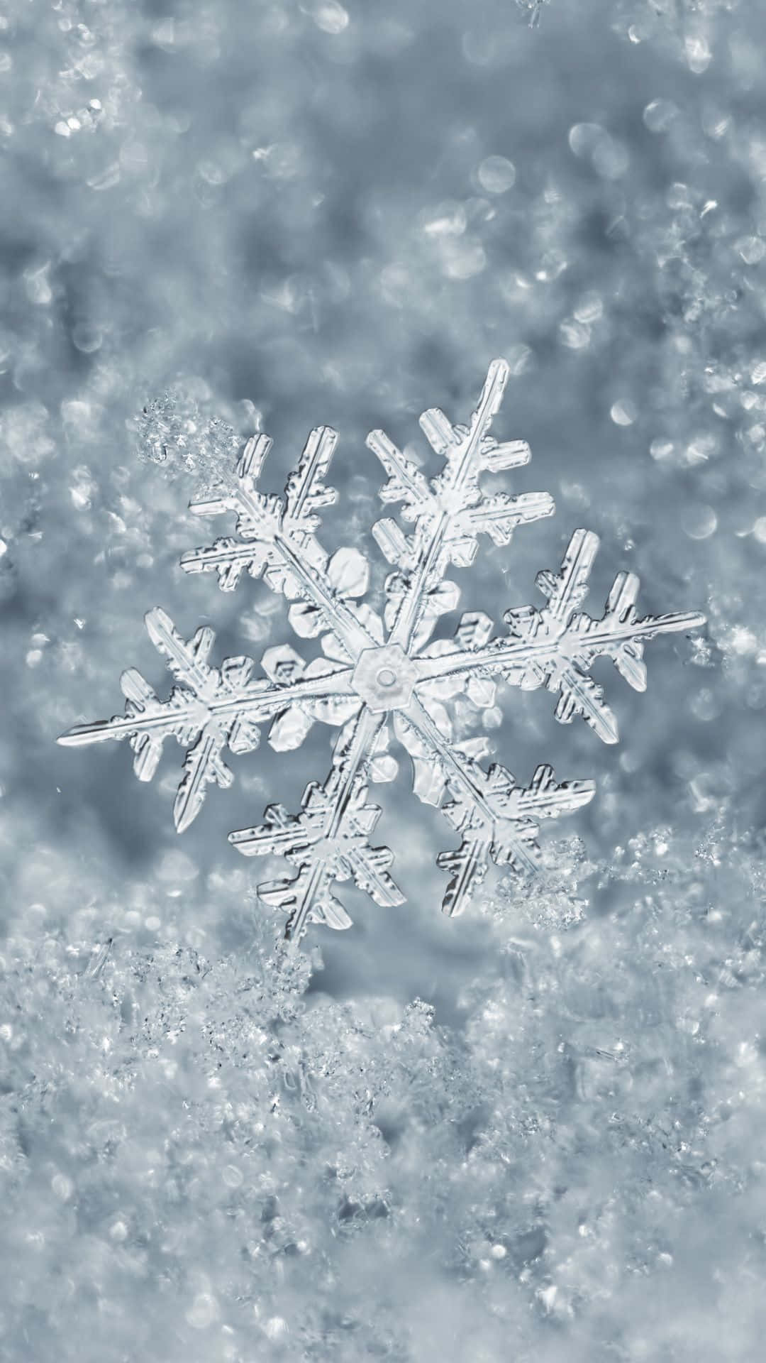 Winter Phone 桌布 壁紙 — 一片精緻的雪花在冷藍光下輕輕地躺在柔軟的雪床上。