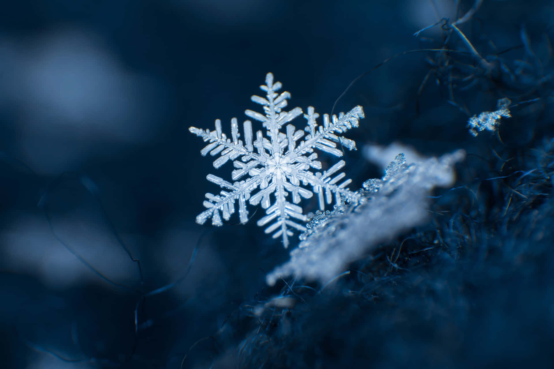 雪花 桌布 壁紙 — 一片精緻的雪花在冷藍色燈光下，輕輕地落在深色紋理表面上。