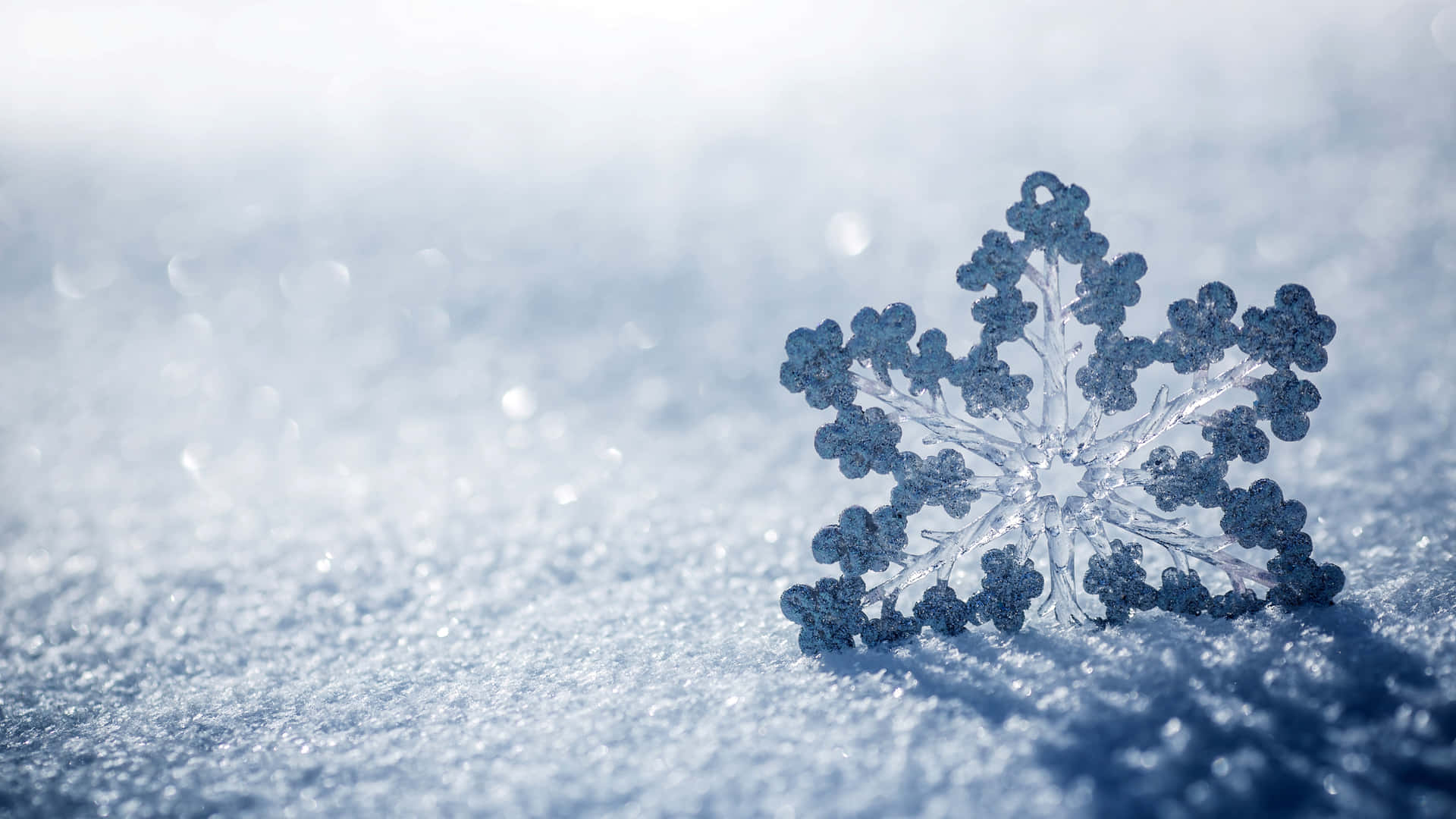 雪花 桌布 壁紙 — 一片精緻的雪花在明亮的冬日陽光下，輕柔地落在柔軟的雪床上。