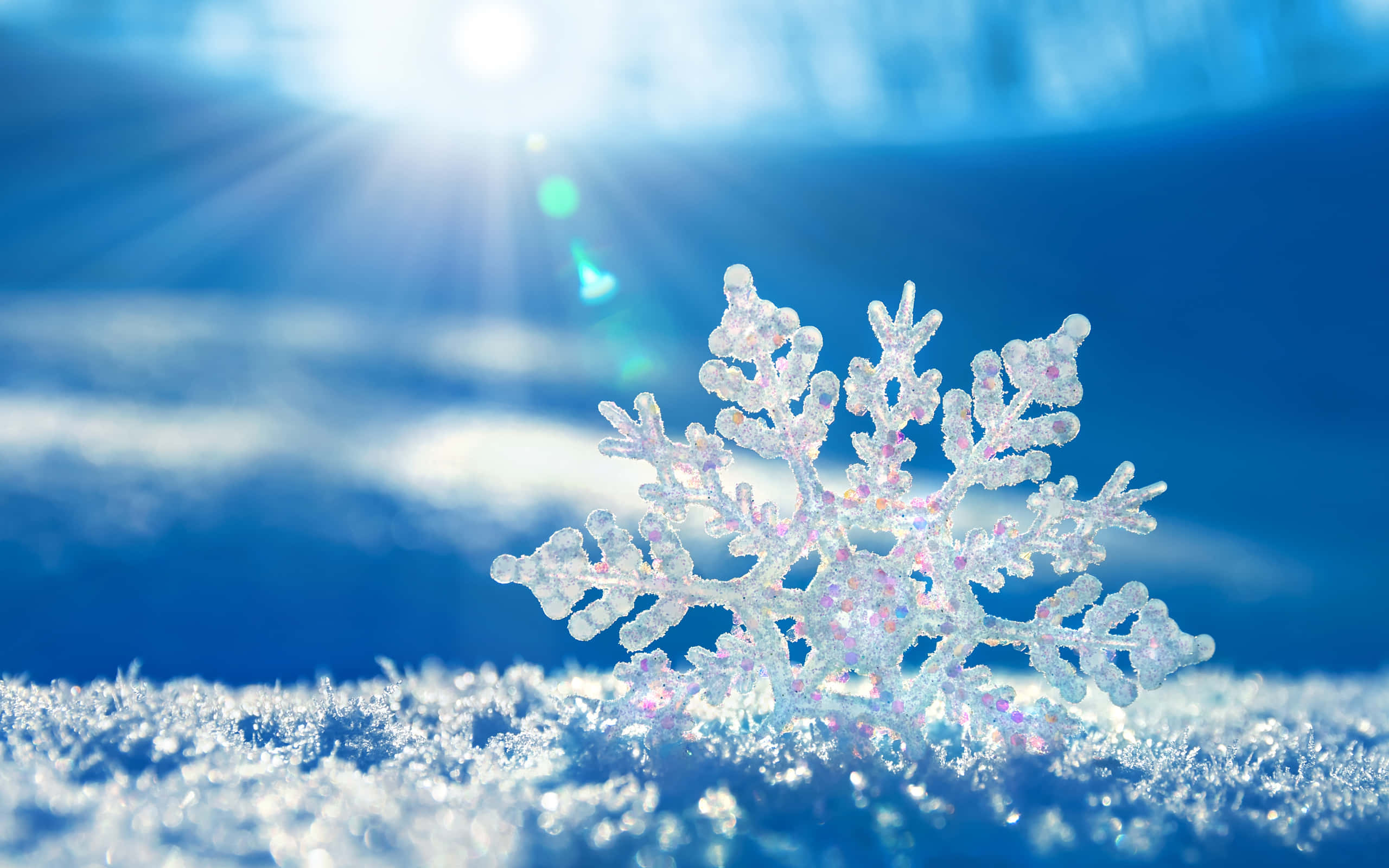 雪花 桌布 壁紙 — 一片精緻的雪花在明亮的陽光下閃閃發光，映襯著充滿活力的藍色冬日天空。