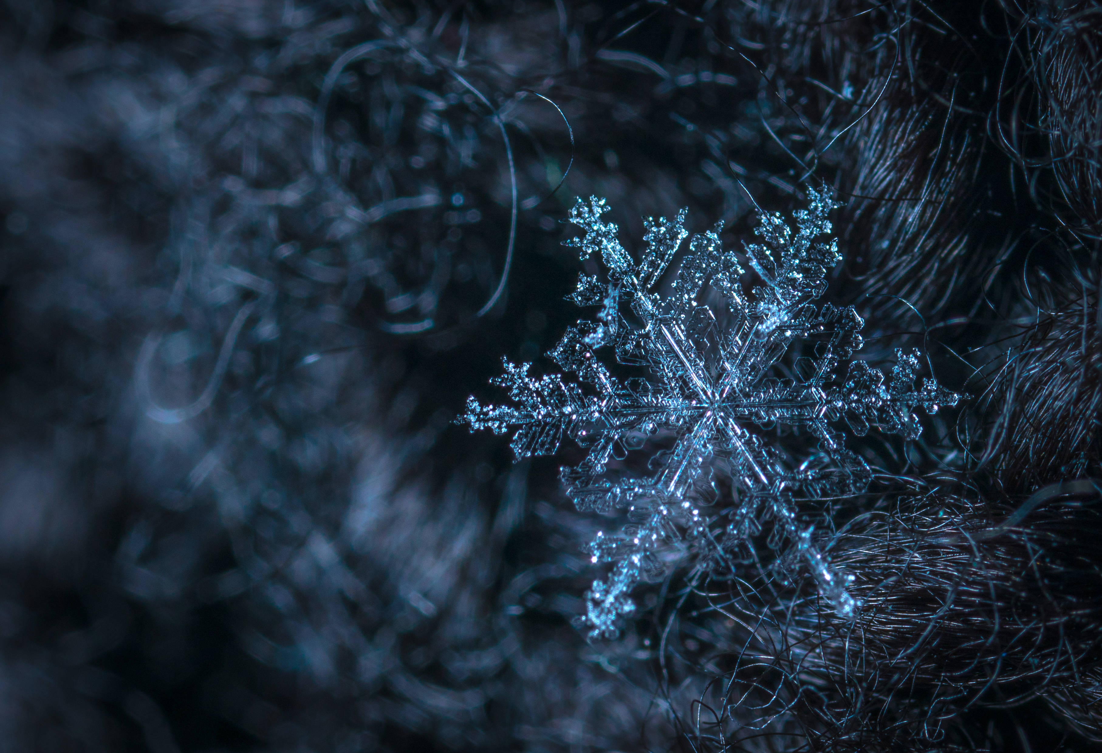 雪花 桌布 壁紙 — 一片精緻的雪花在深色紋理背景上閃爍著冰藍色光芒。