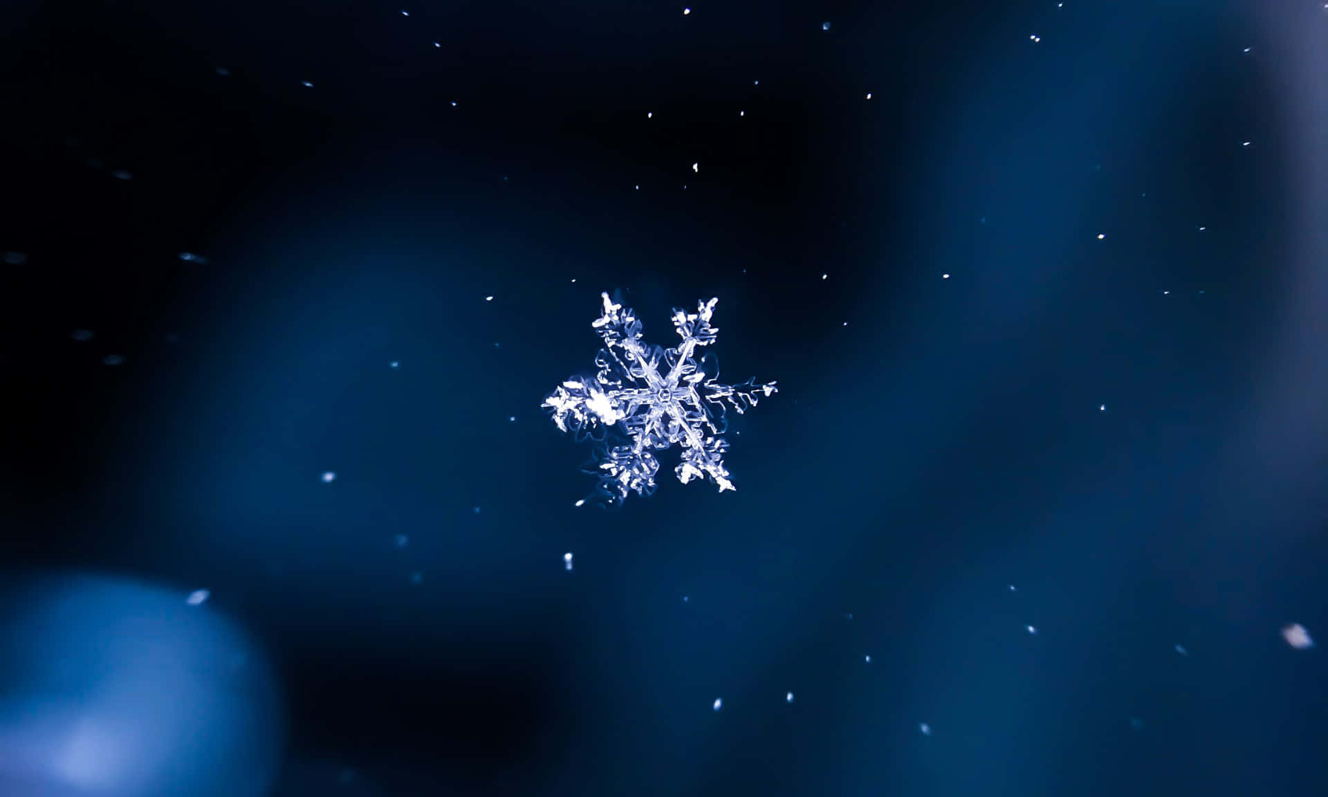 雪花 桌布 壁紙 — 一片精緻的雪花在深藍色模糊背景中發光，並有漂浮的粒子。