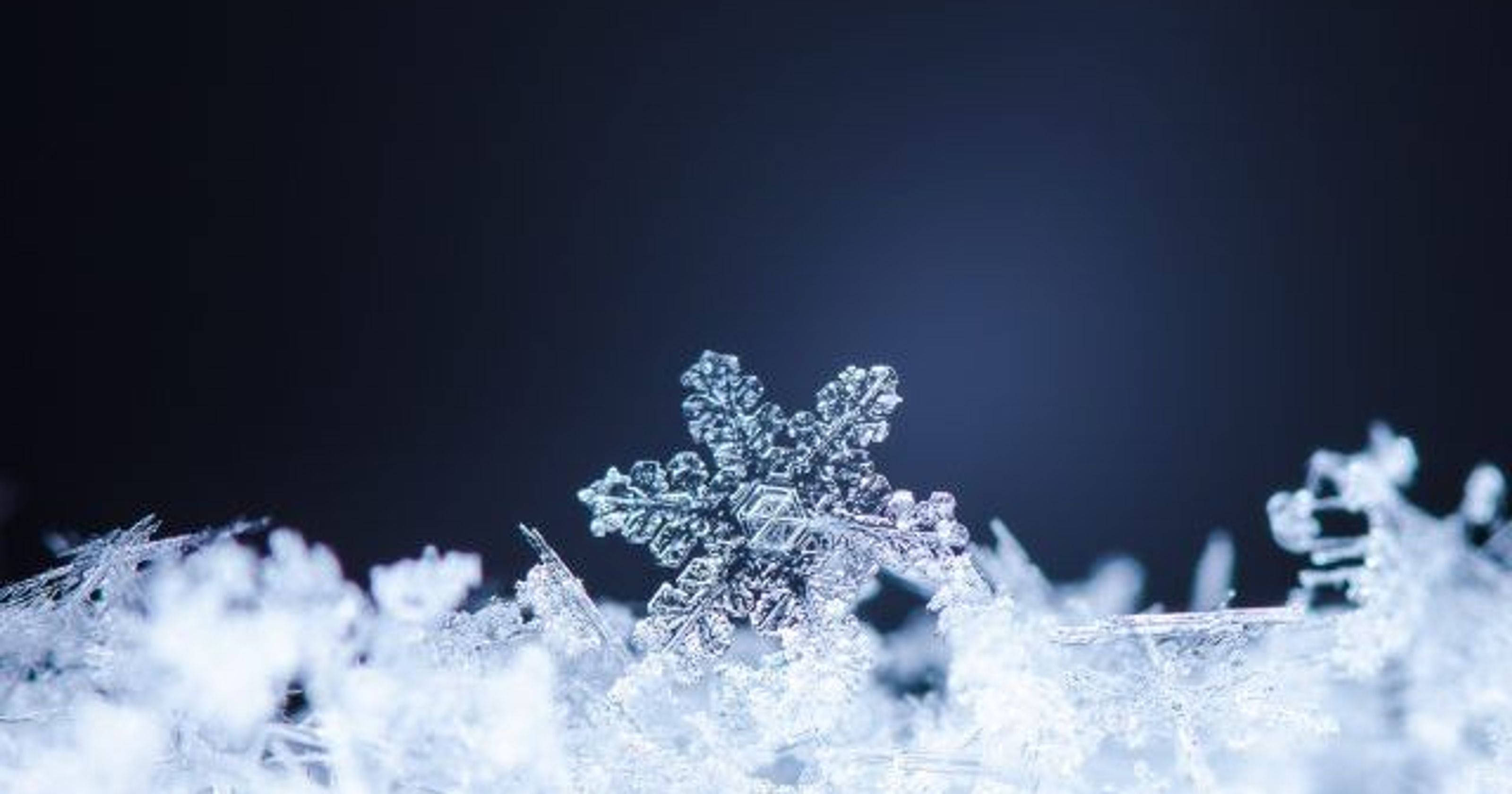 冬季 桌布 壁紙 — 一片精緻的雪花在深藍色背景下閃耀，周圍是柔焦的模糊霜晶。