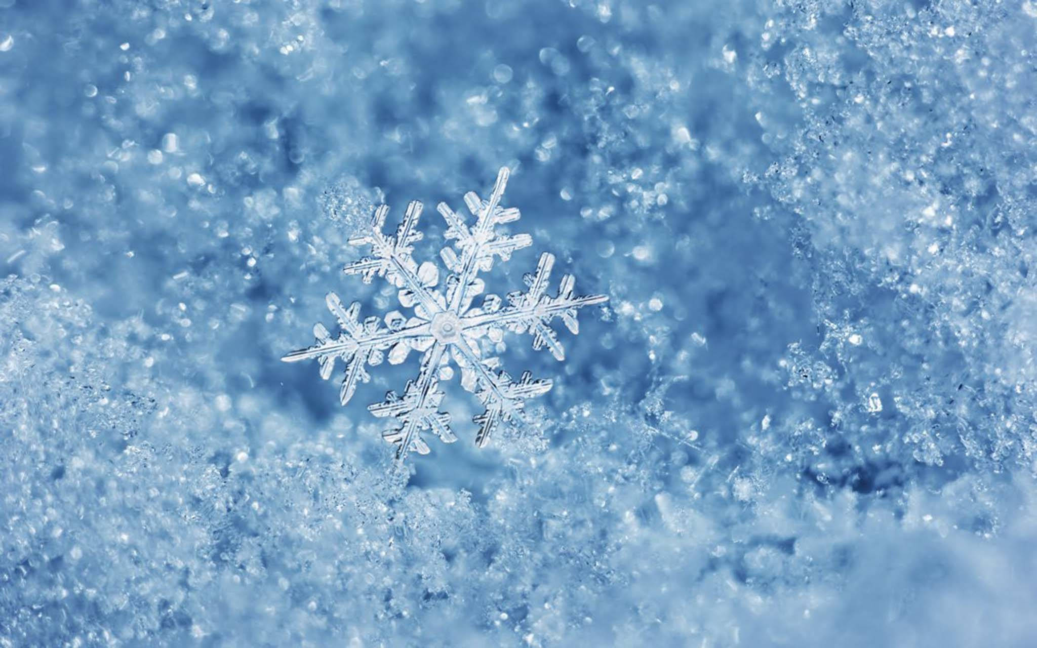 寒冷 桌布 壁紙 — 一片精緻的雪花在清澈的冬日陽光下，輕柔地落在柔軟的藍色雪床上。