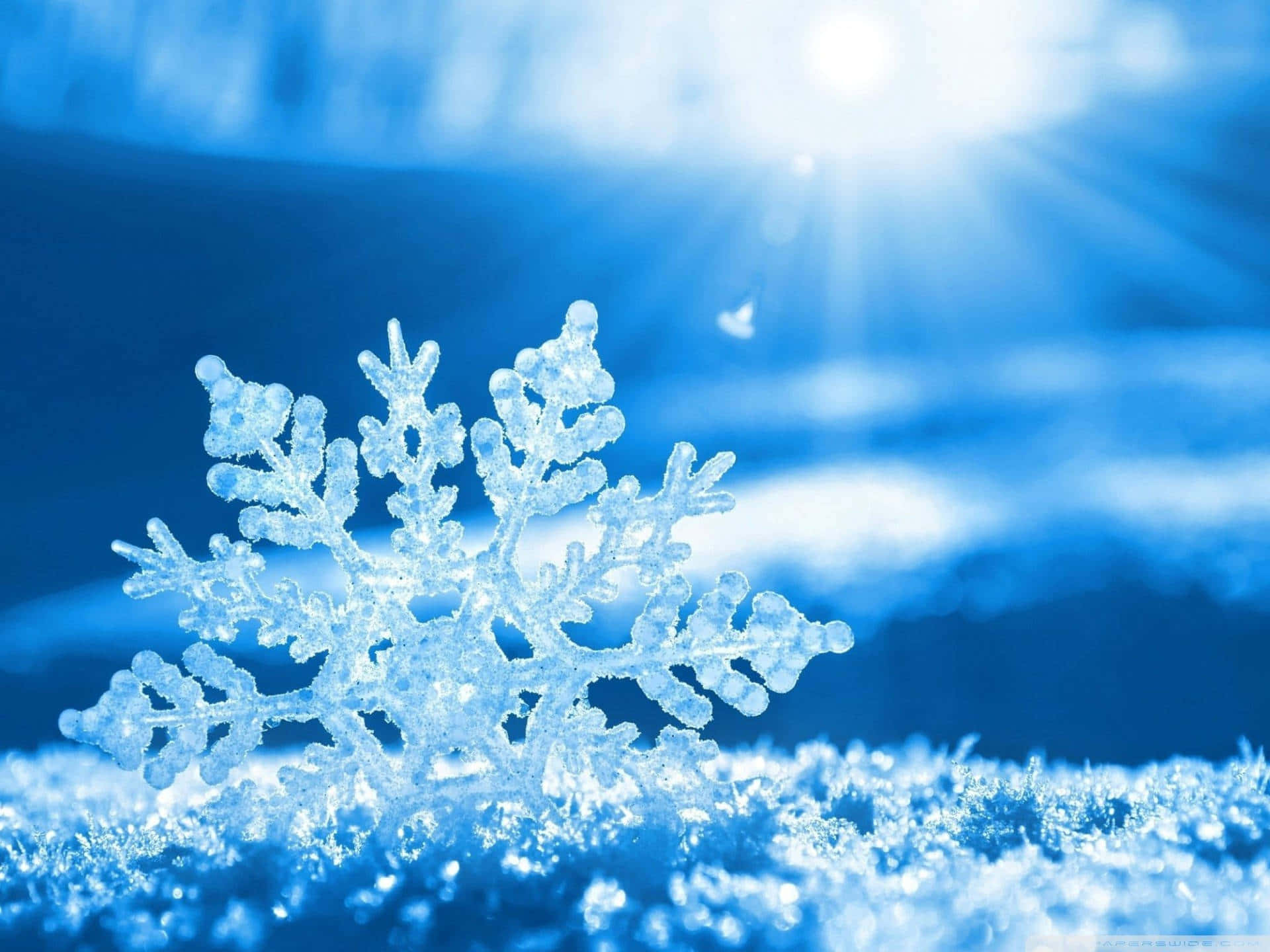 雪花 桌布 壁紙 — 一片精緻的雪花在陽光四射的湛藍冬日天空下，清晰聚焦閃爍。